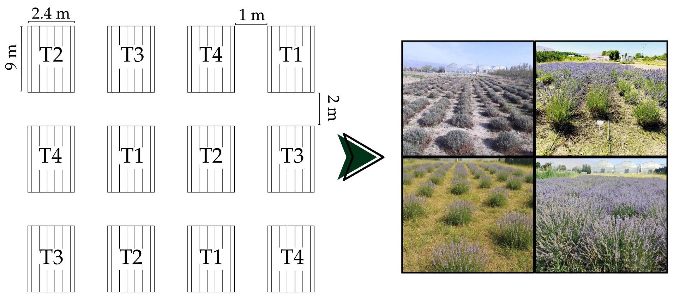 Agronomy 15 01009 g002