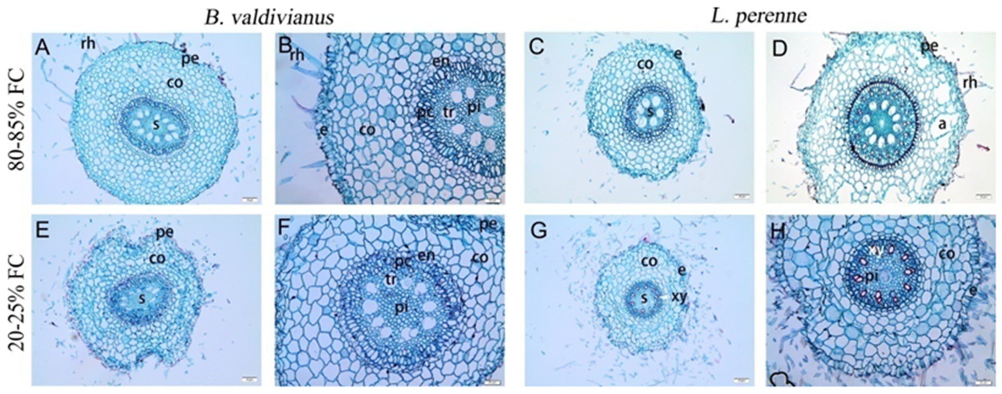 Agronomy 15 01024 g002