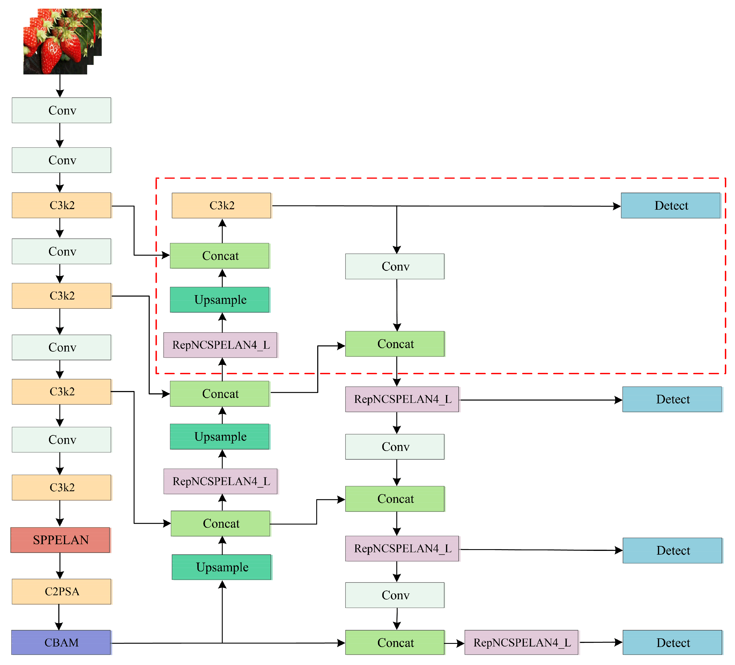 Agronomy 15 01026 g001