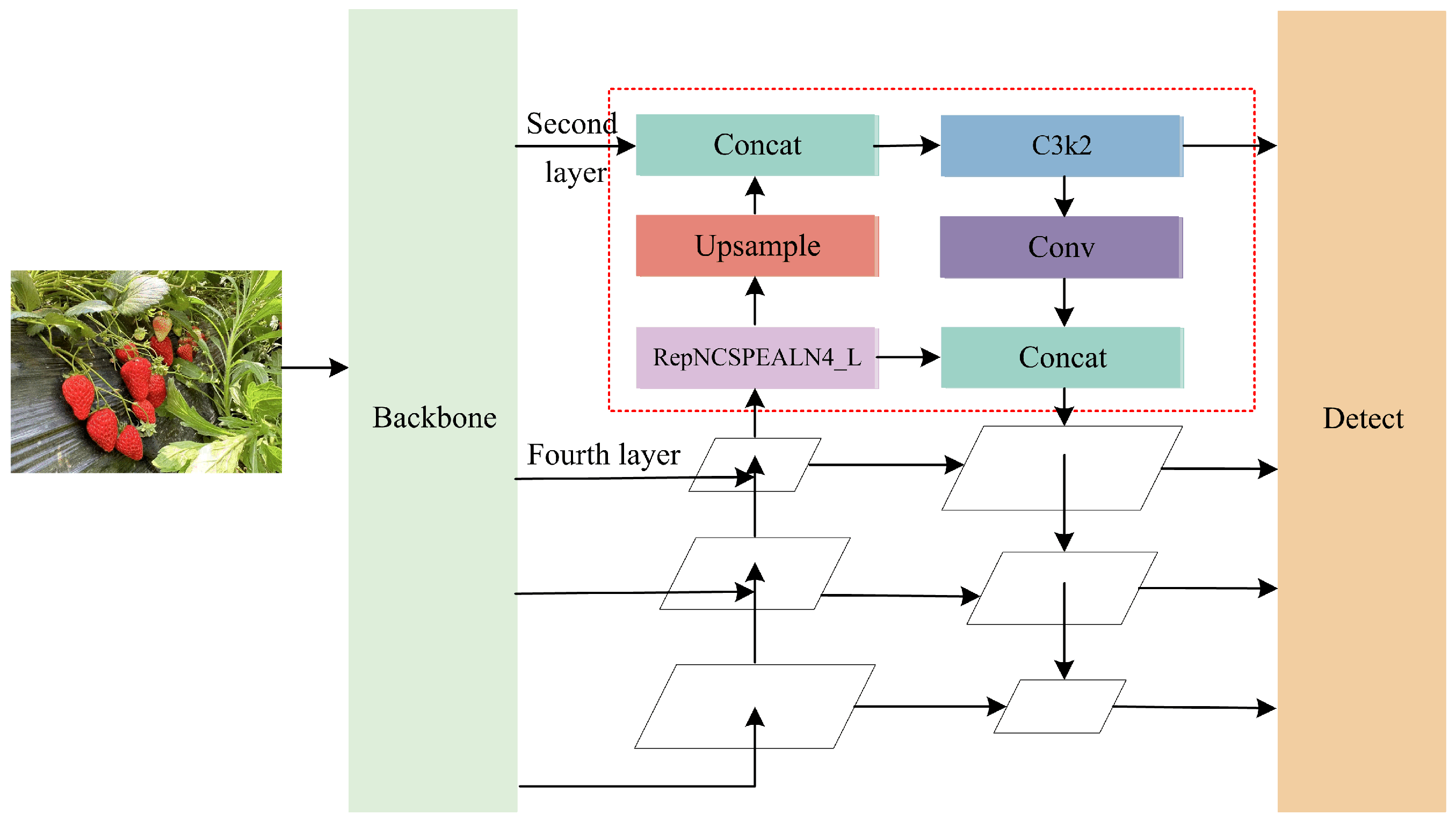 Agronomy 15 01026 g004