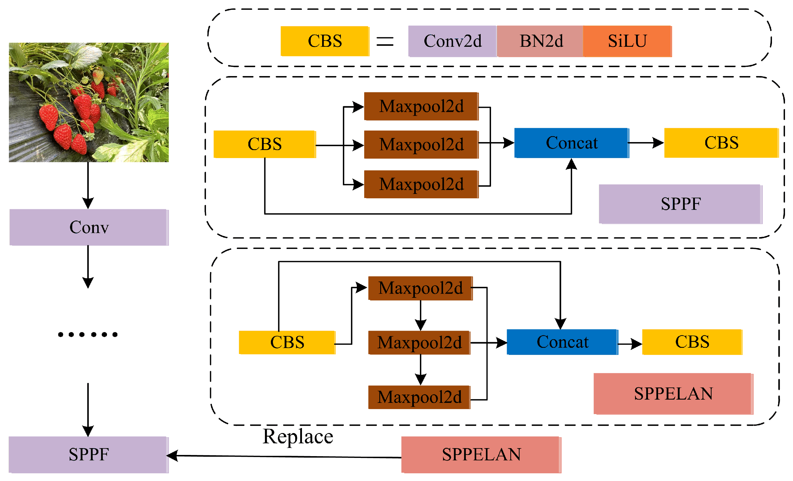 Agronomy 15 01026 g005