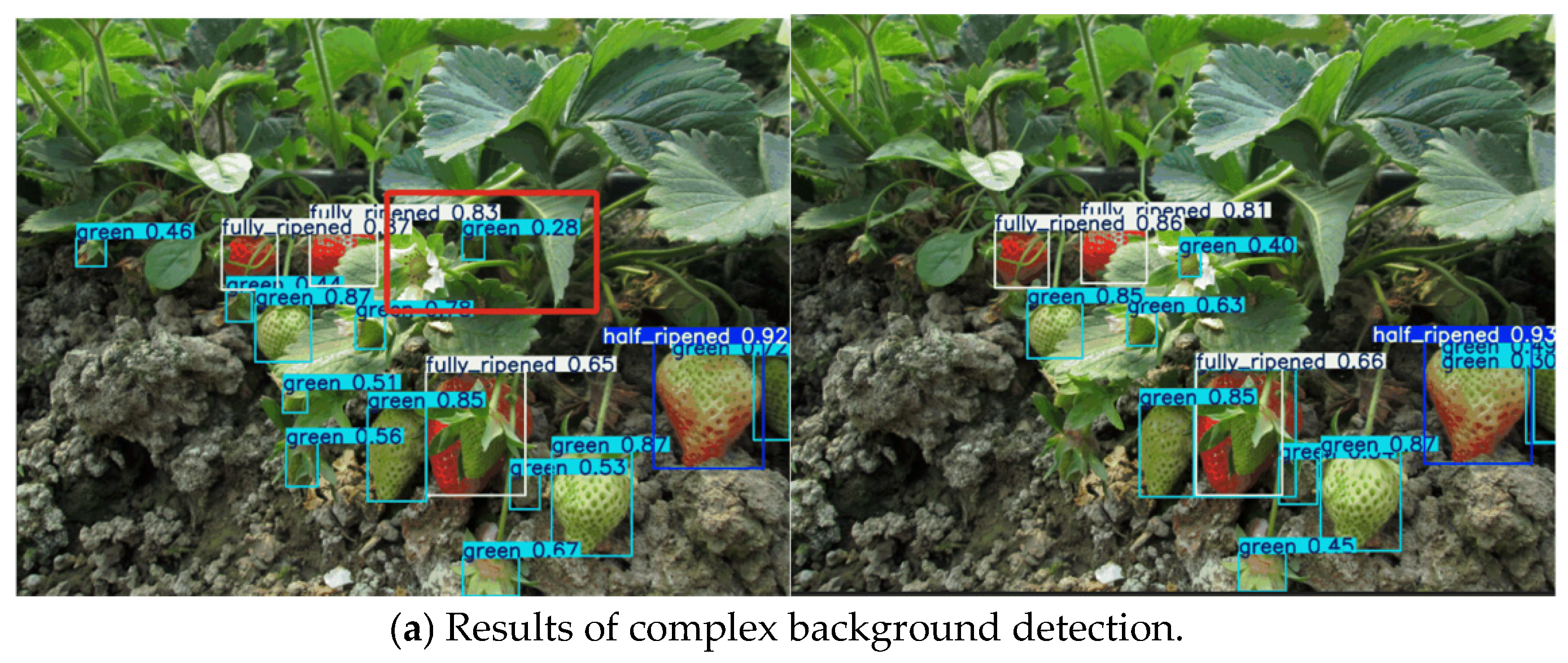 Agronomy 15 01026 g011a