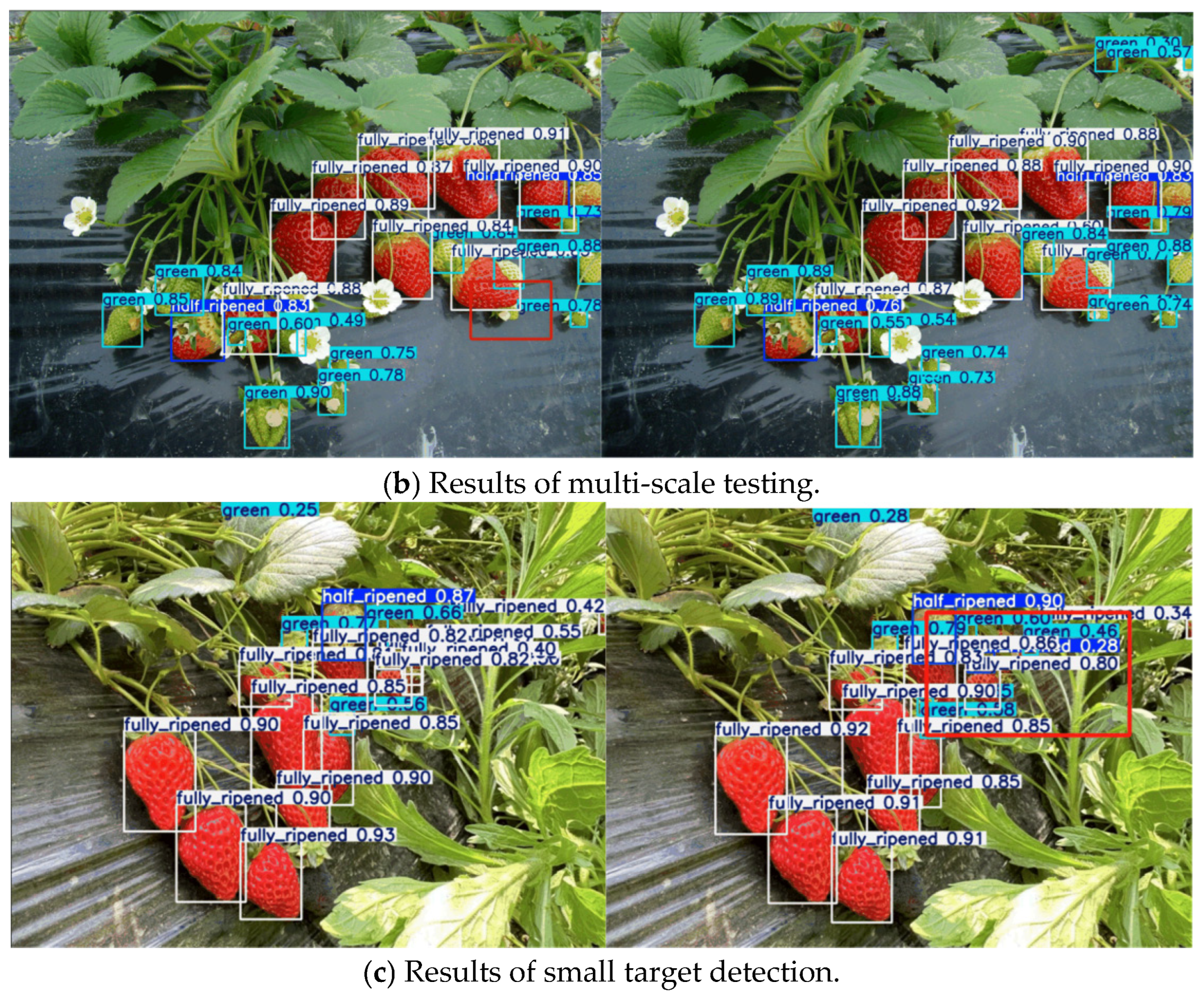 Agronomy 15 01026 g011b