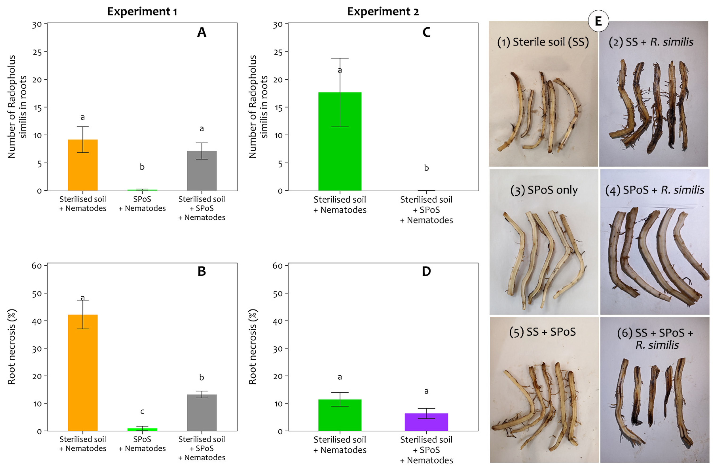 Agronomy 15 01040 g005