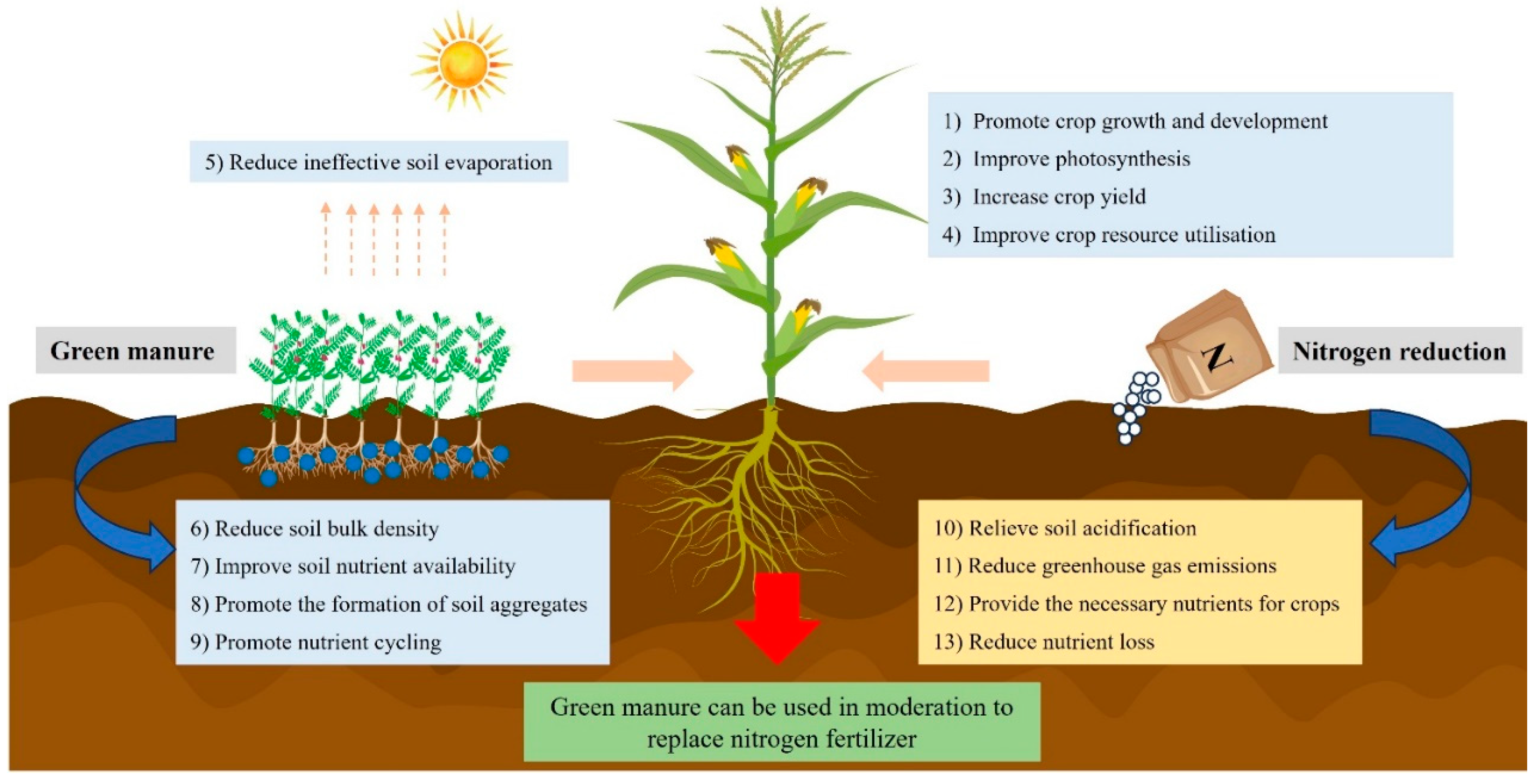 Agronomy 15 01042 g002