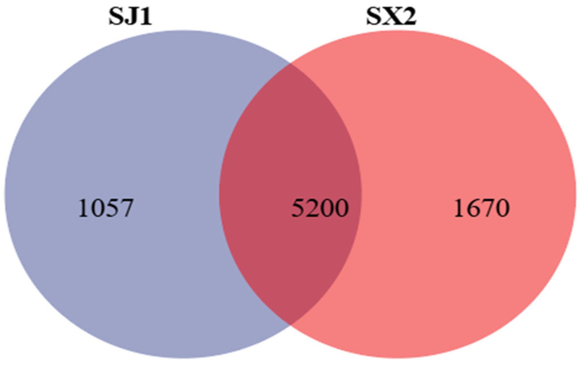 Agronomy 15 01055 g003
