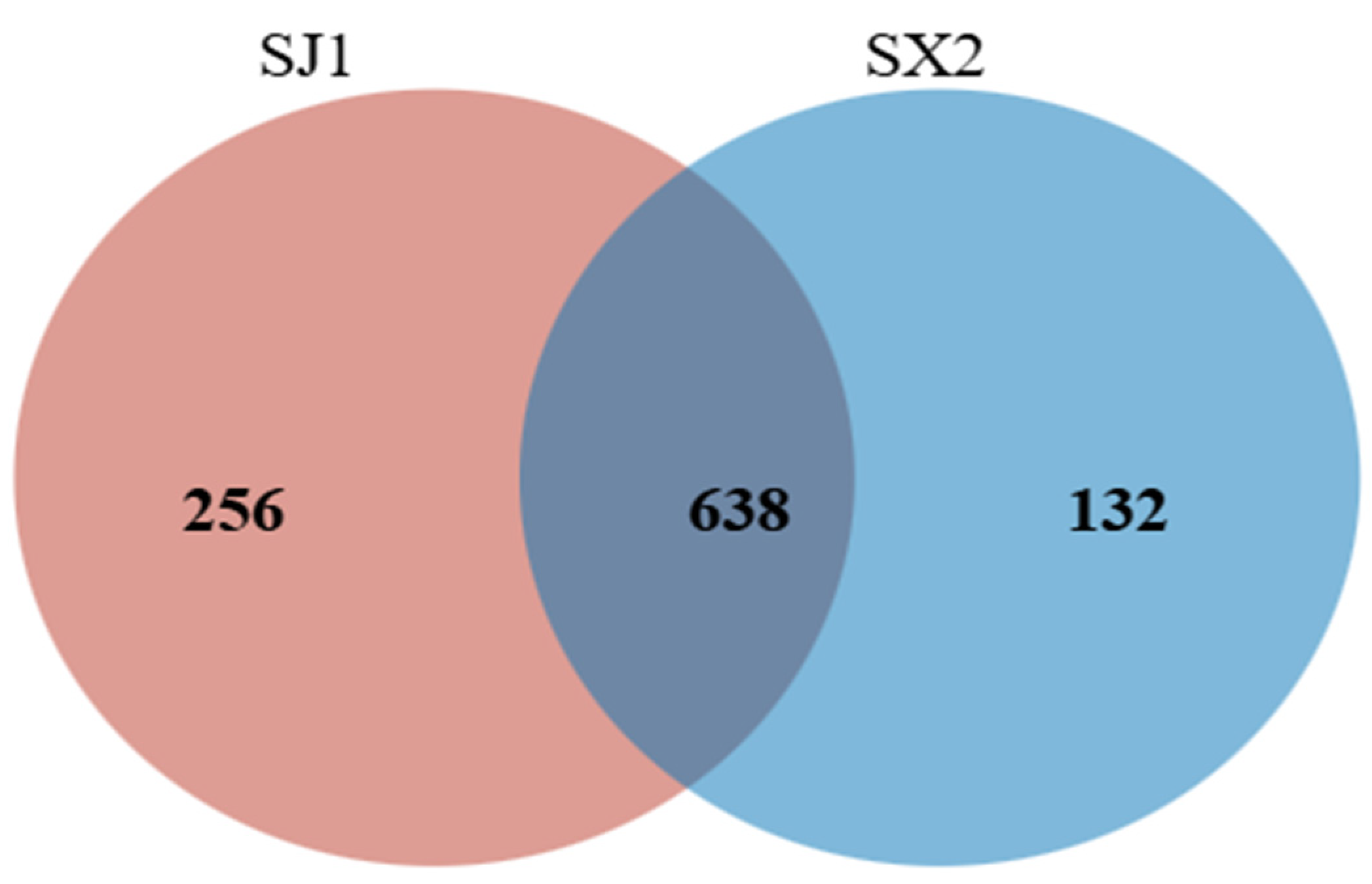 Agronomy 15 01055 g008
