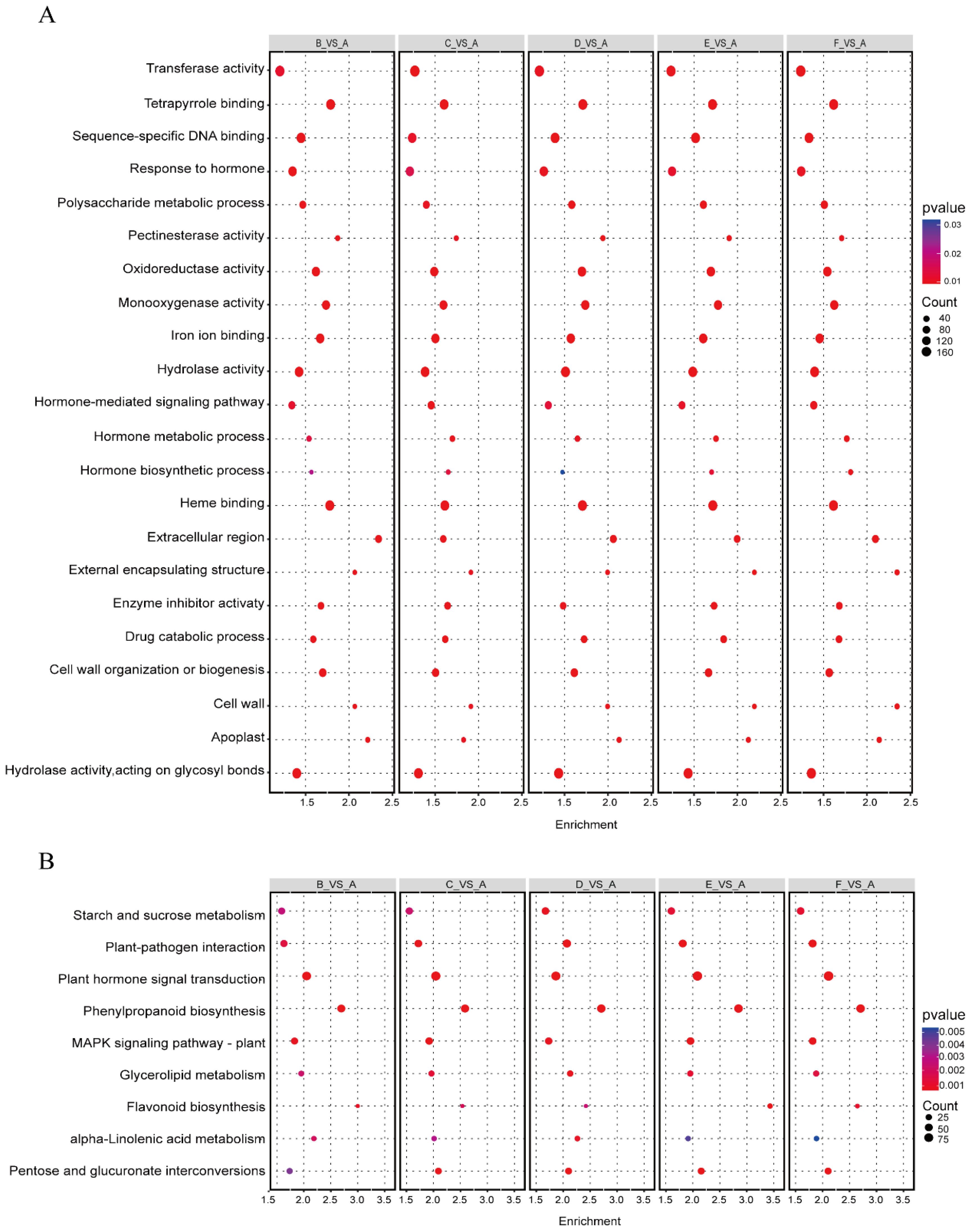 Agronomy 15 01063 g004