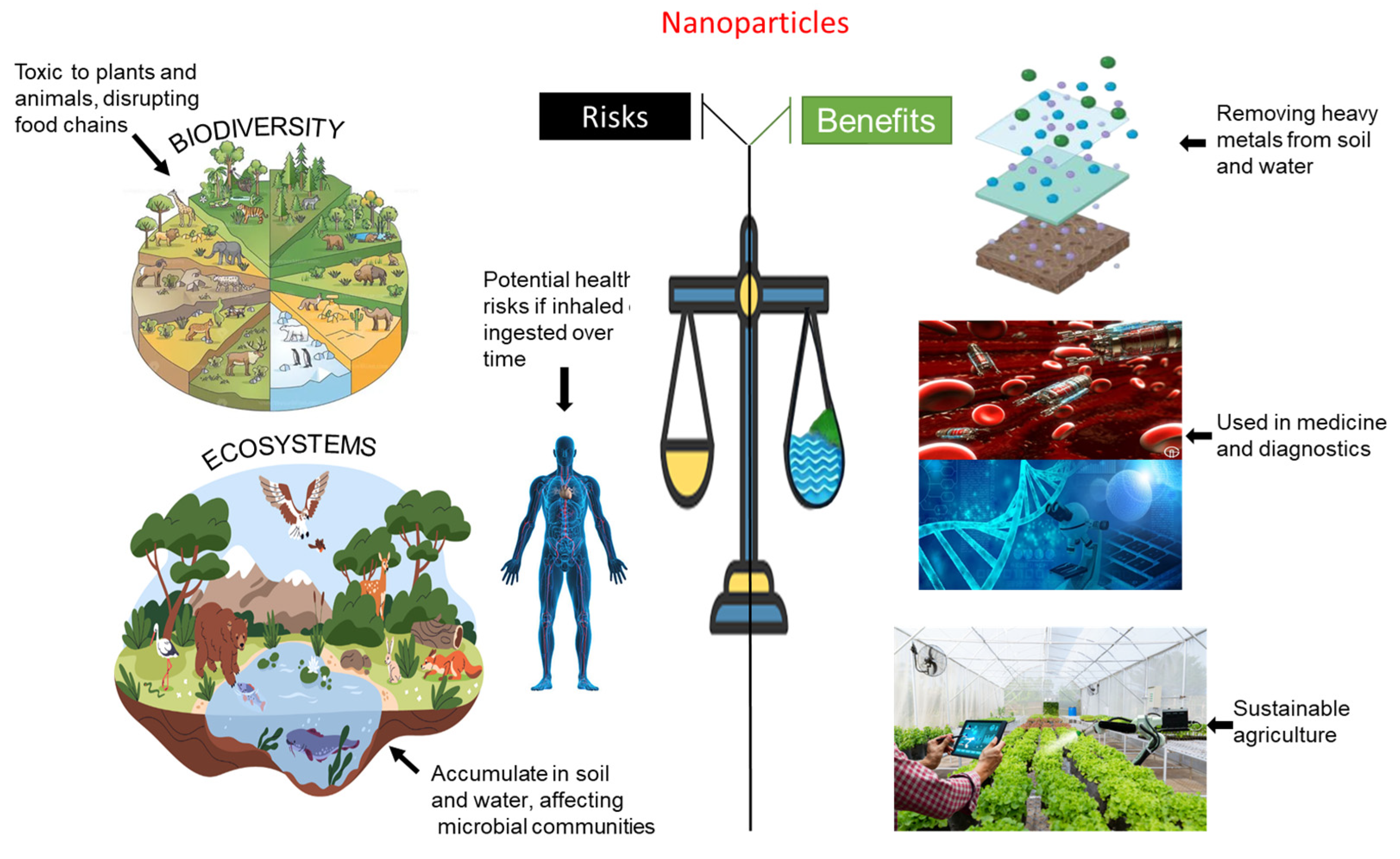 Agronomy 15 01131 g003