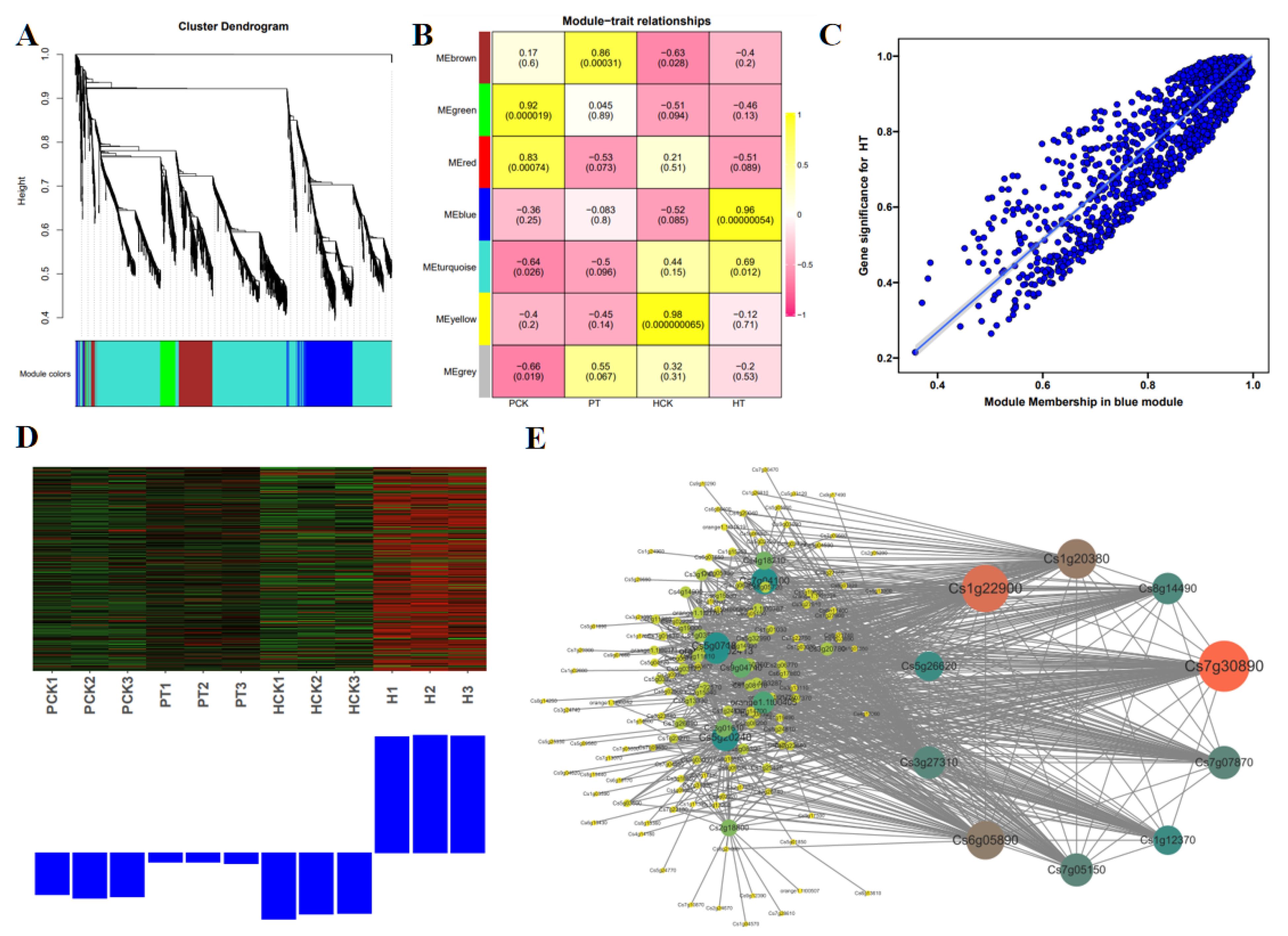 Agronomy 15 01218 g004