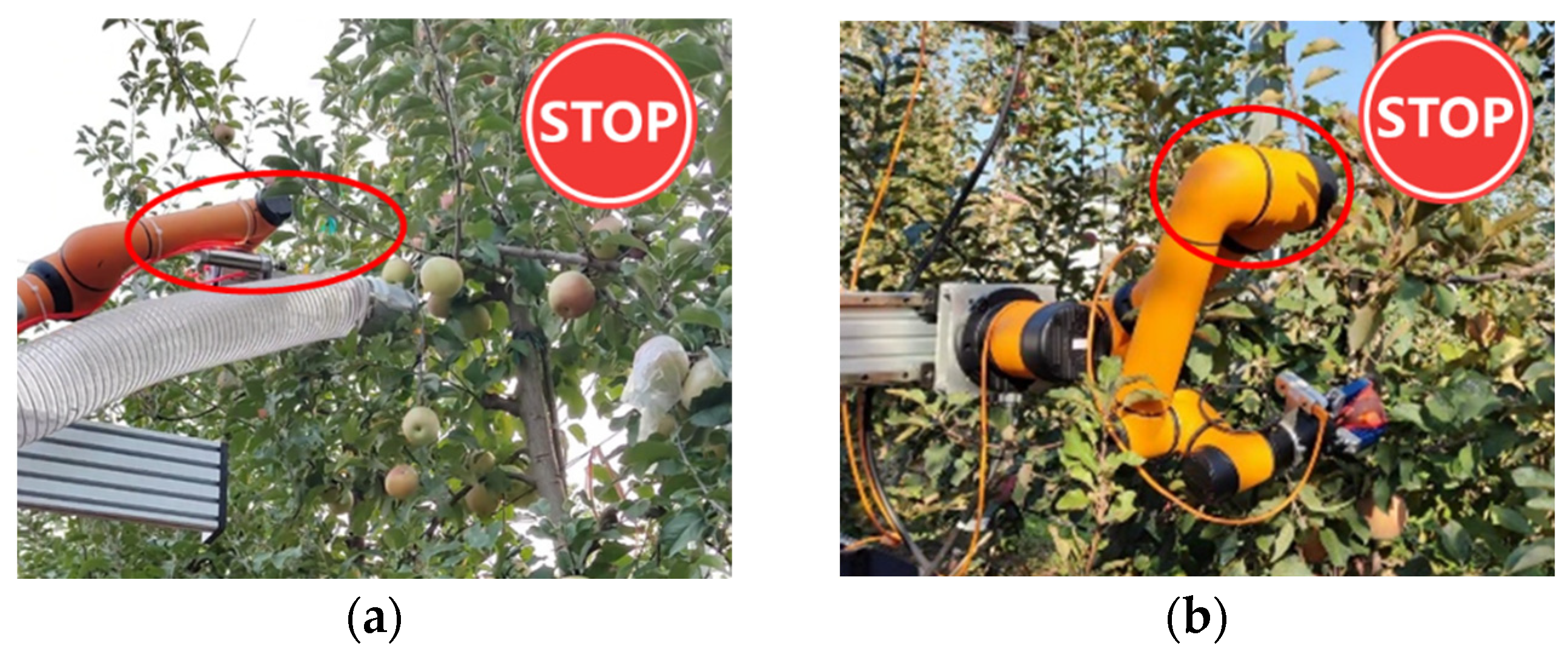 Agronomy 15 01446 g002