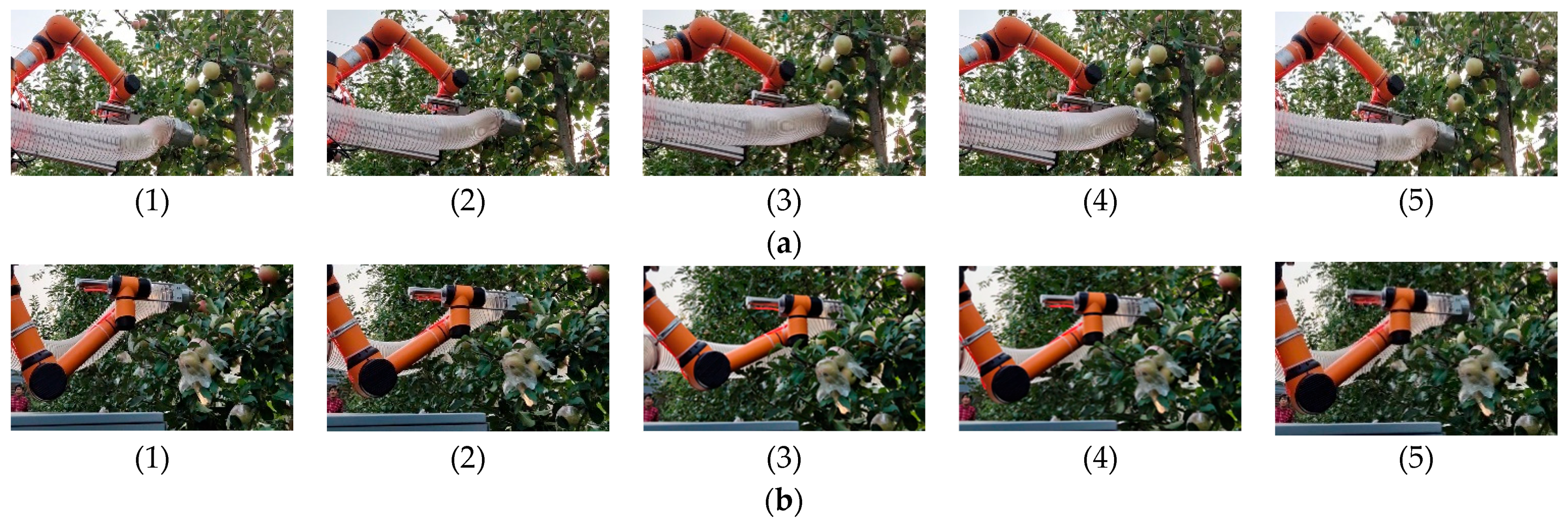 Agronomy 15 01446 g022