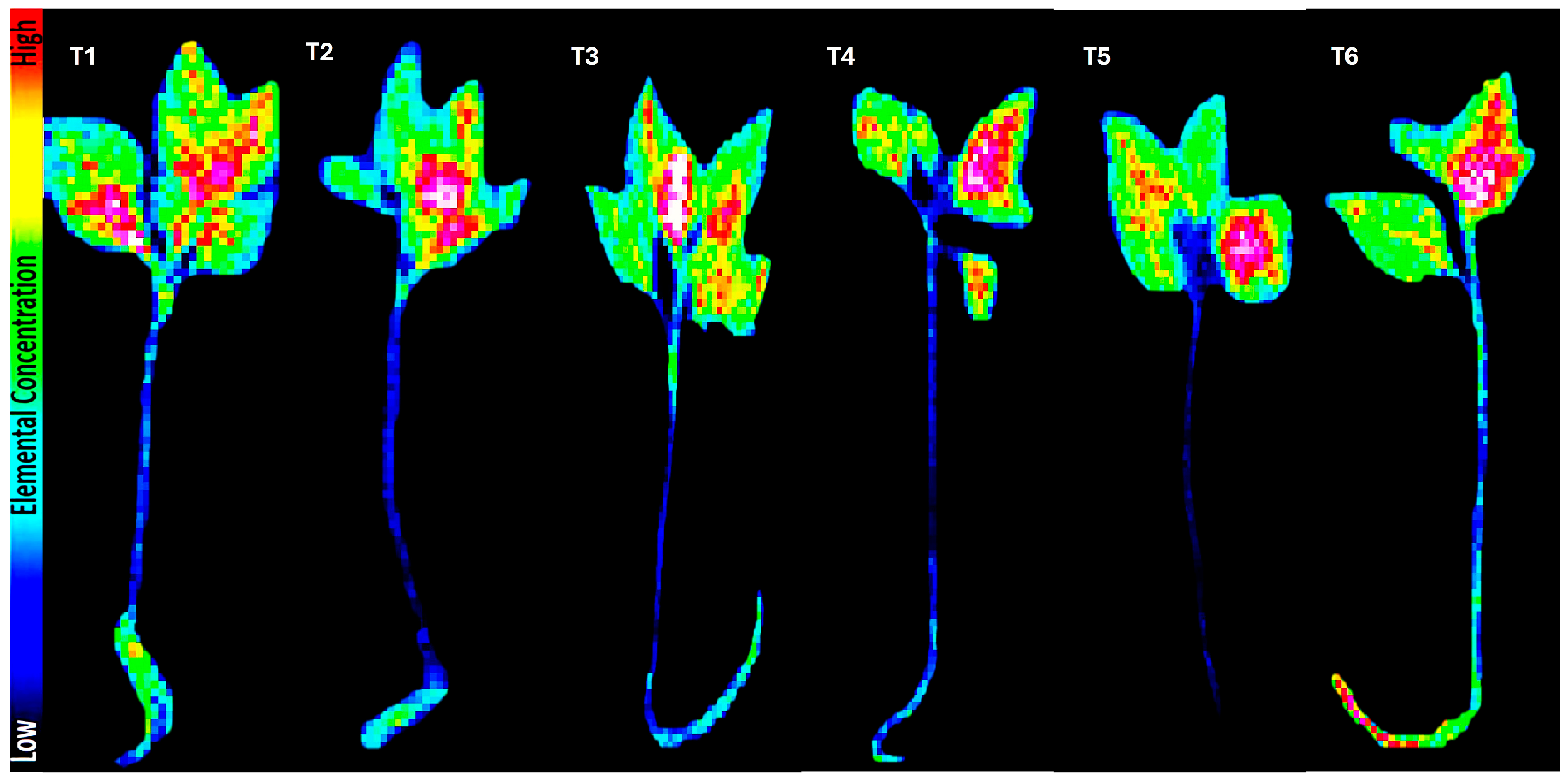 Agronomy 15 01473 g002