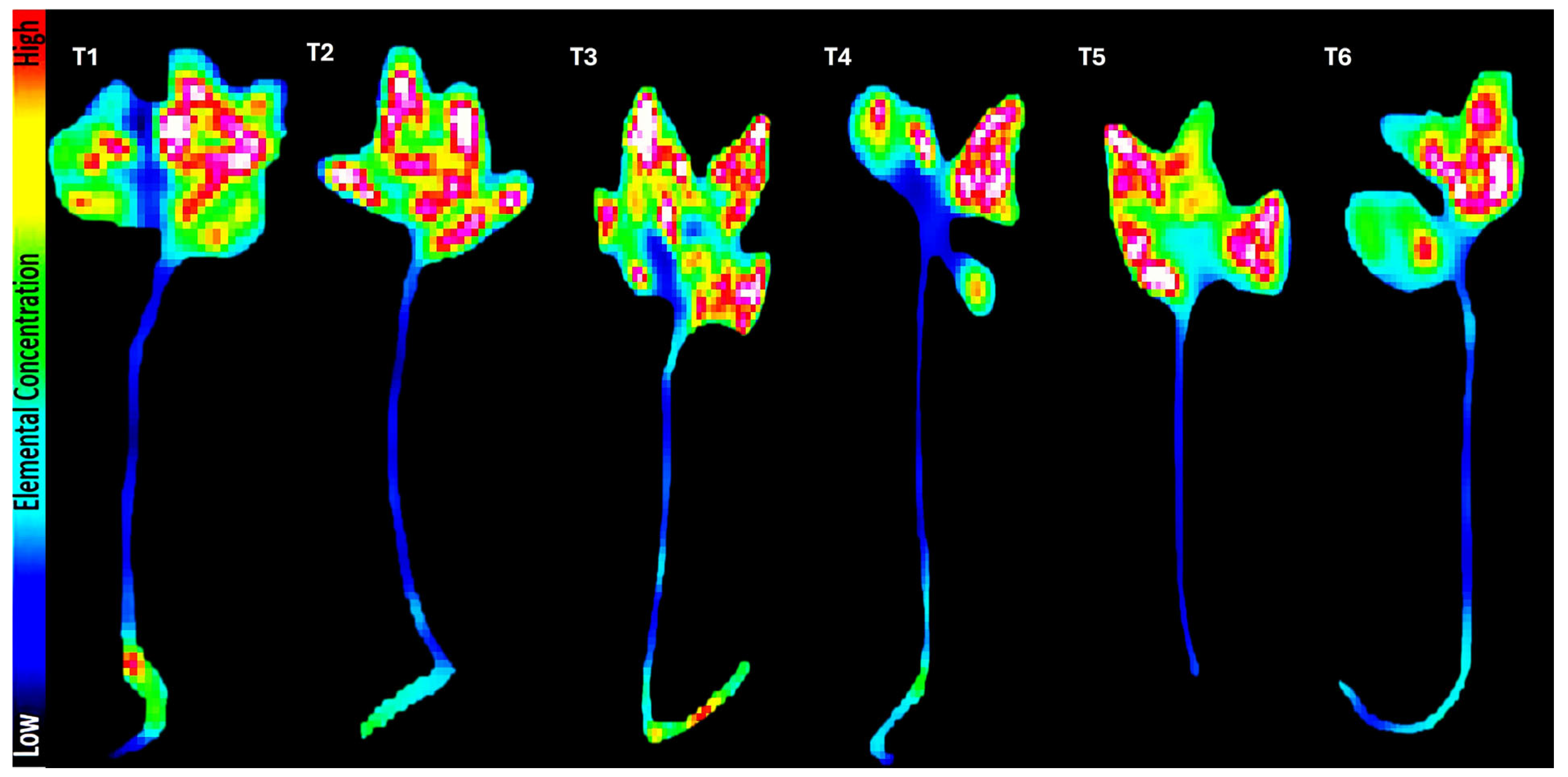 Agronomy 15 01473 g003