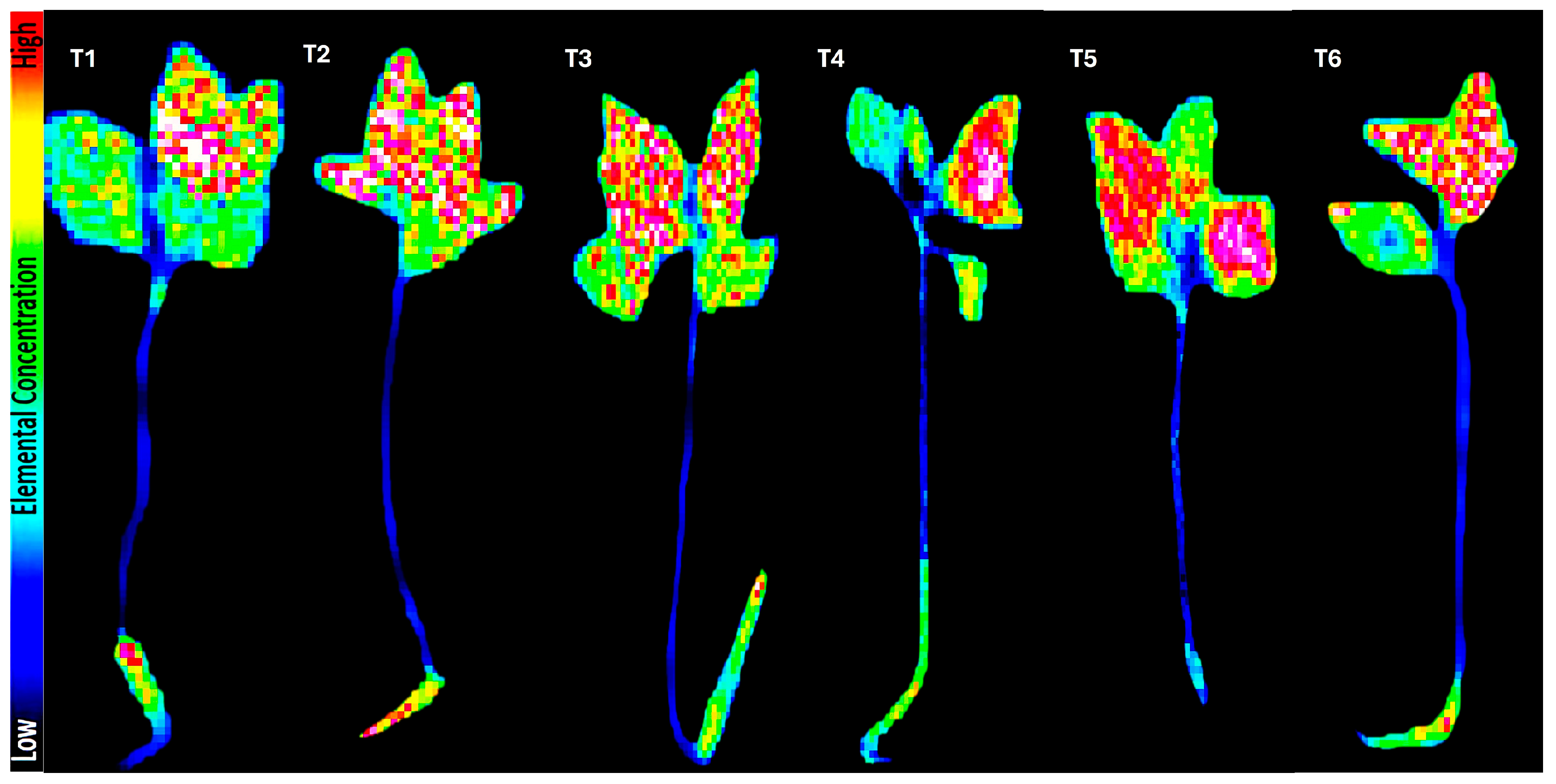 Agronomy 15 01473 g005