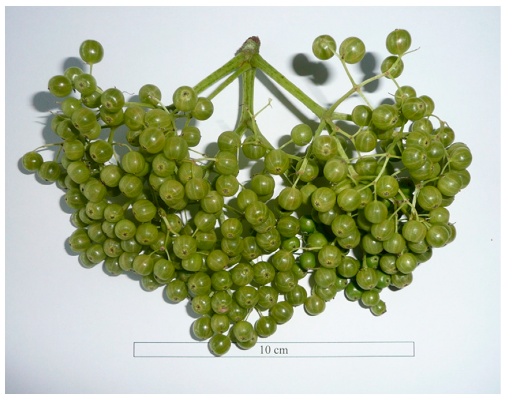 Agronomy 15 01588 g002