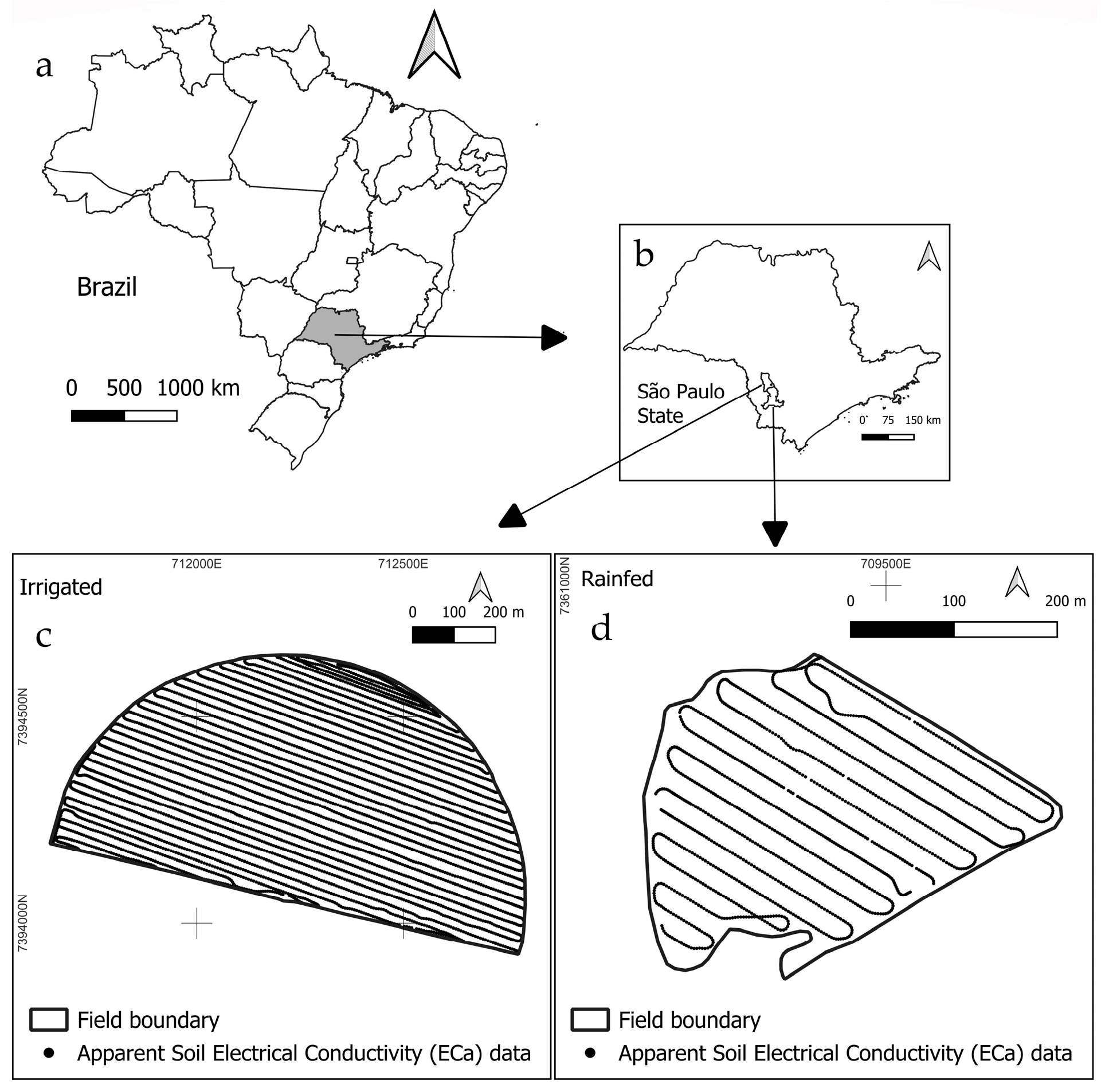 Agronomy 15 01864 g001