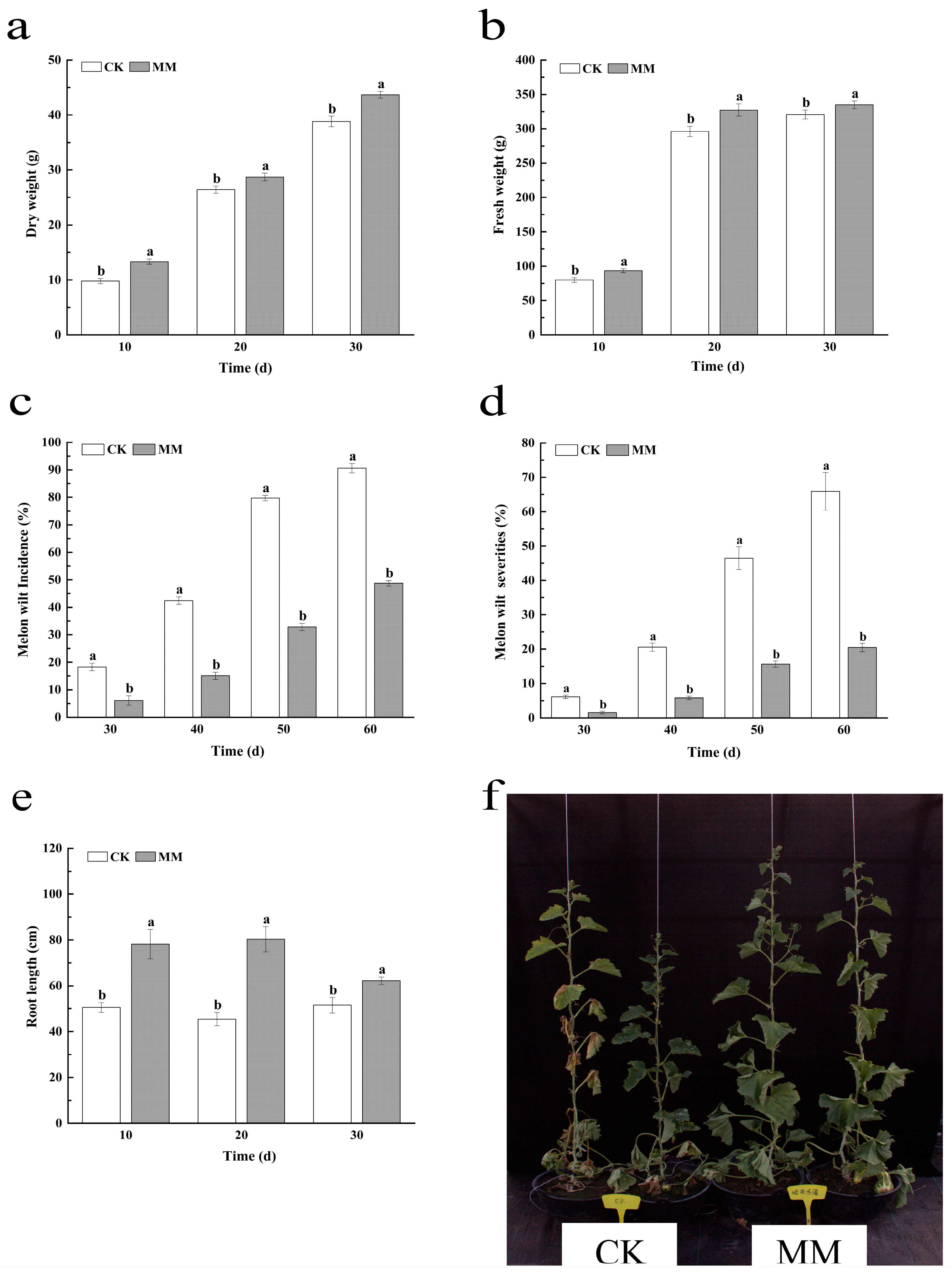 Agronomy 15 01931 g001 Agronomy 15 01931 g001