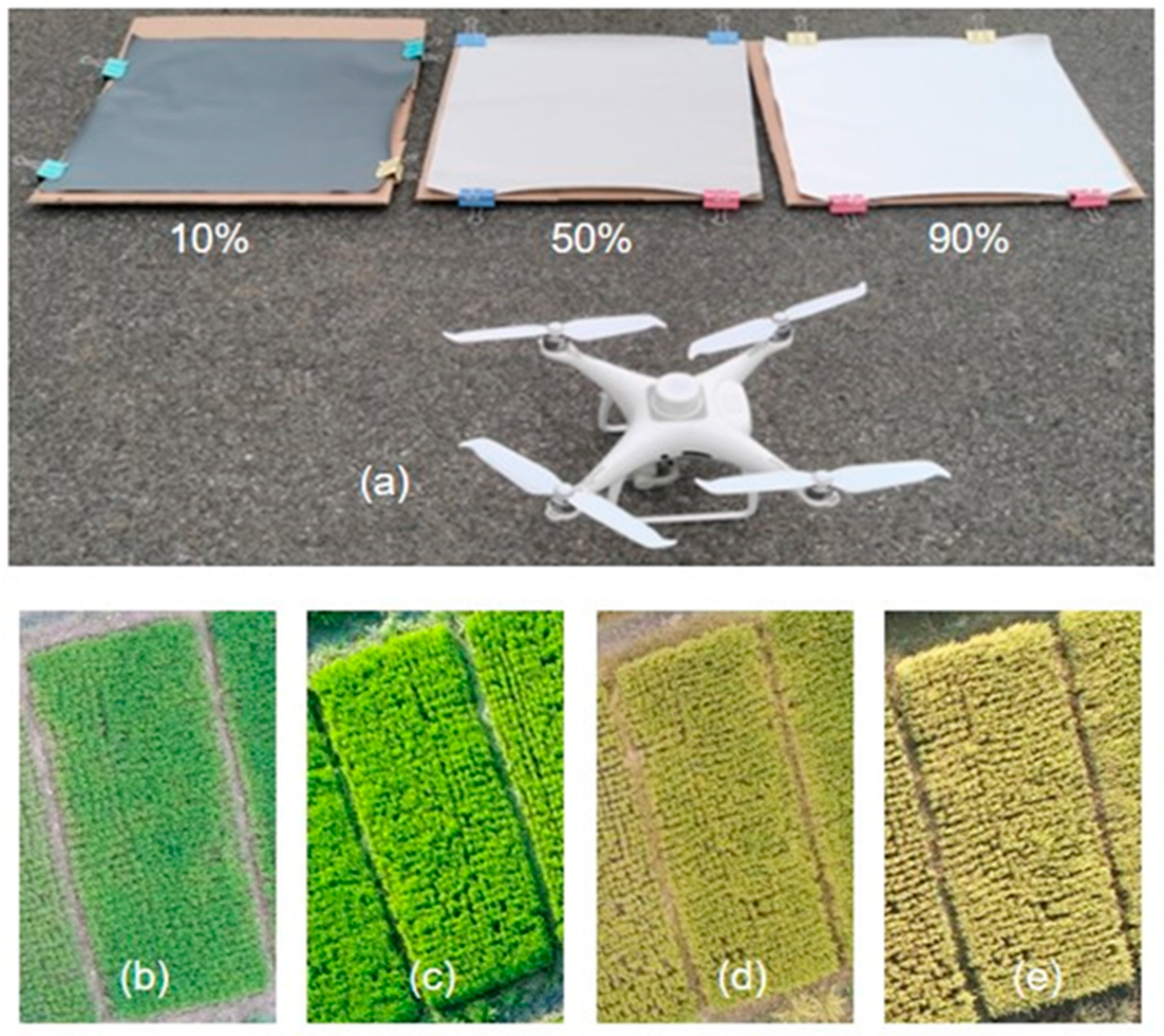 Agronomy 15 01946 g003 Agronomy 15 01946 g003