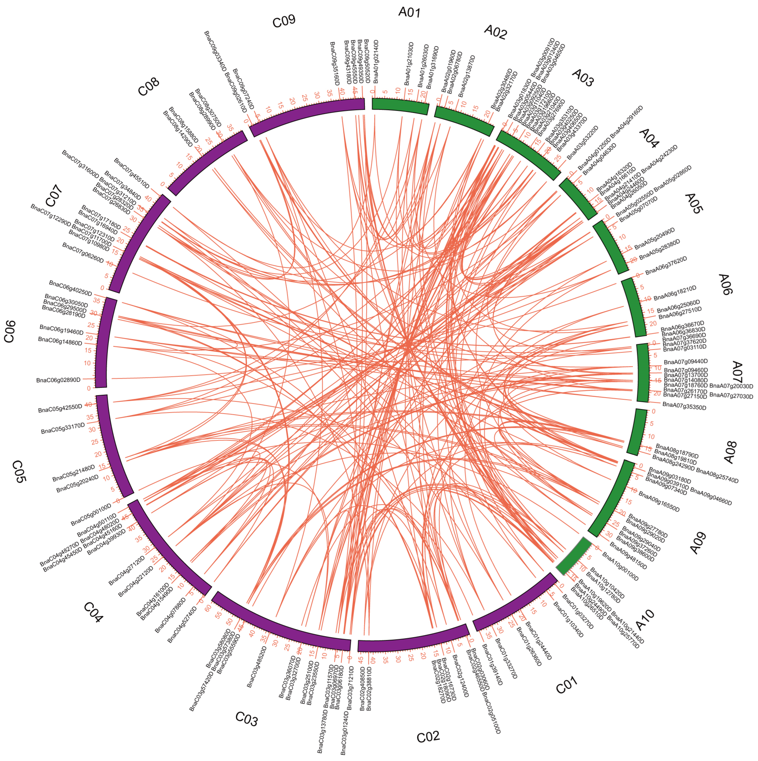 Agronomy 15 02085 g002 Agronomy 15 02085 g002