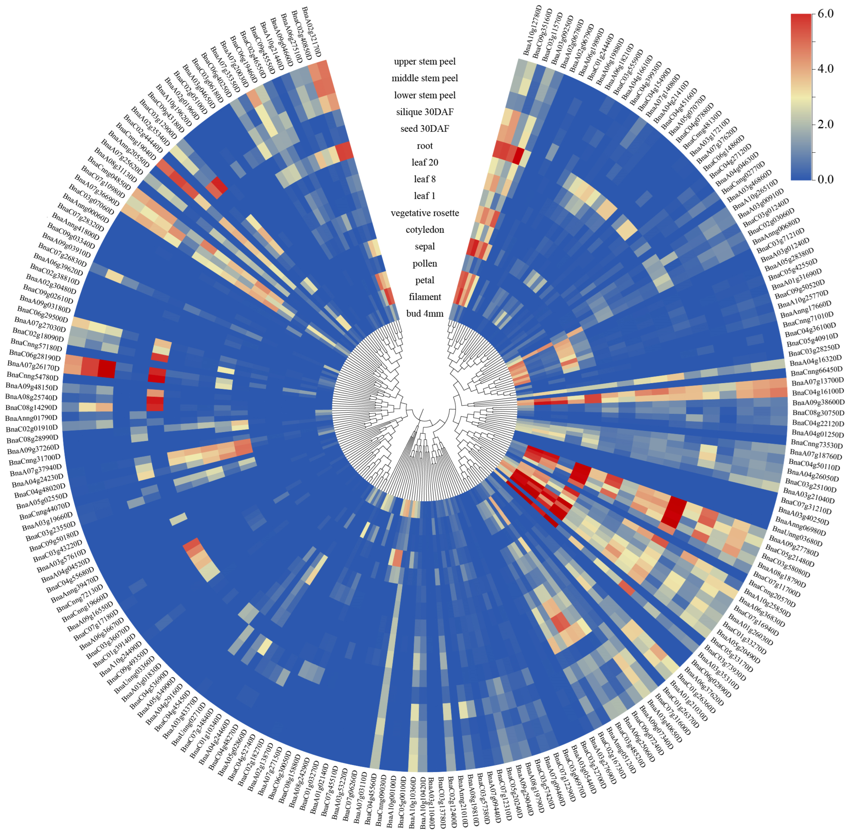 Agronomy 15 02085 g004 Agronomy 15 02085 g004