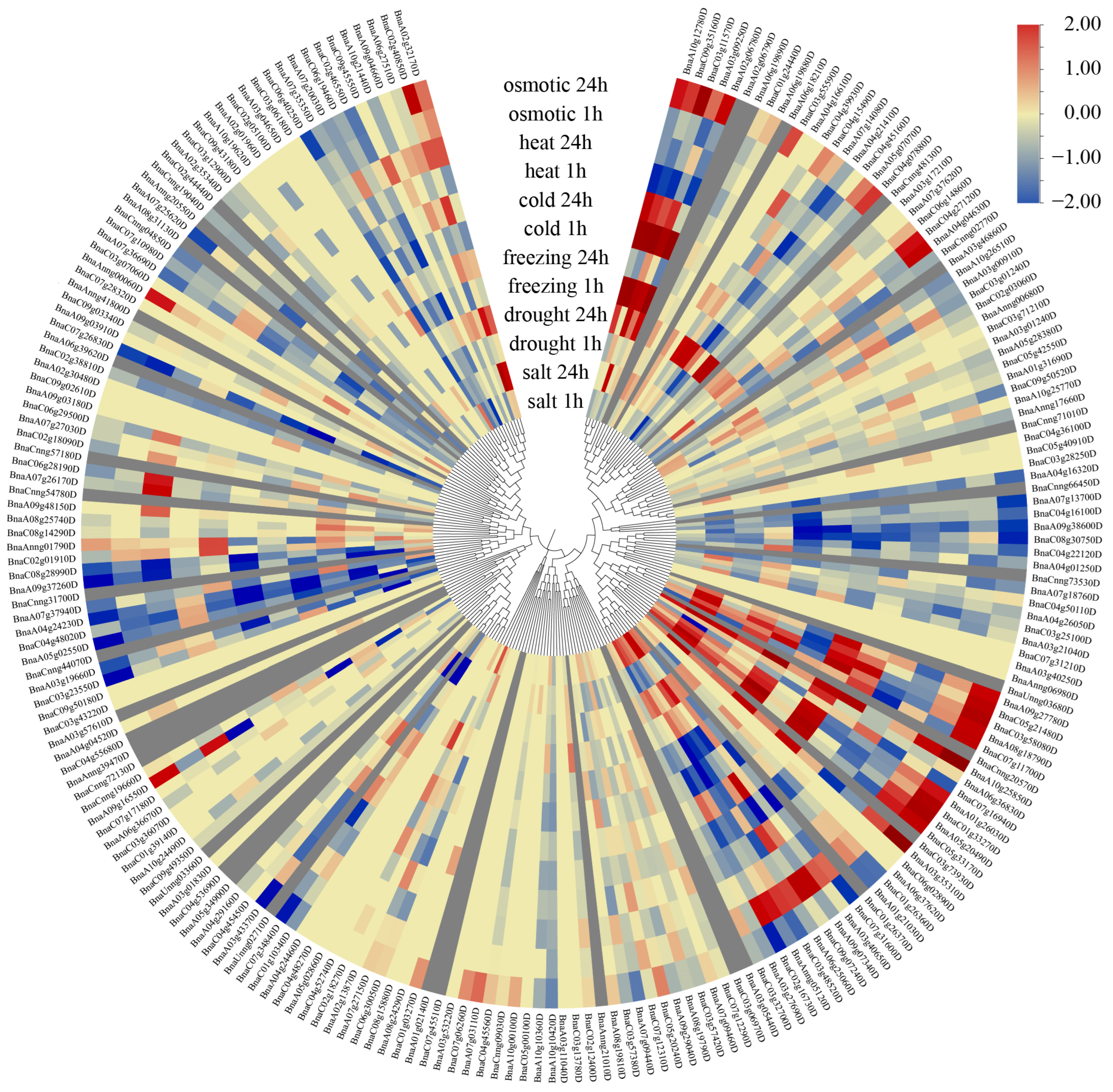 Agronomy 15 02085 g005 Agronomy 15 02085 g005