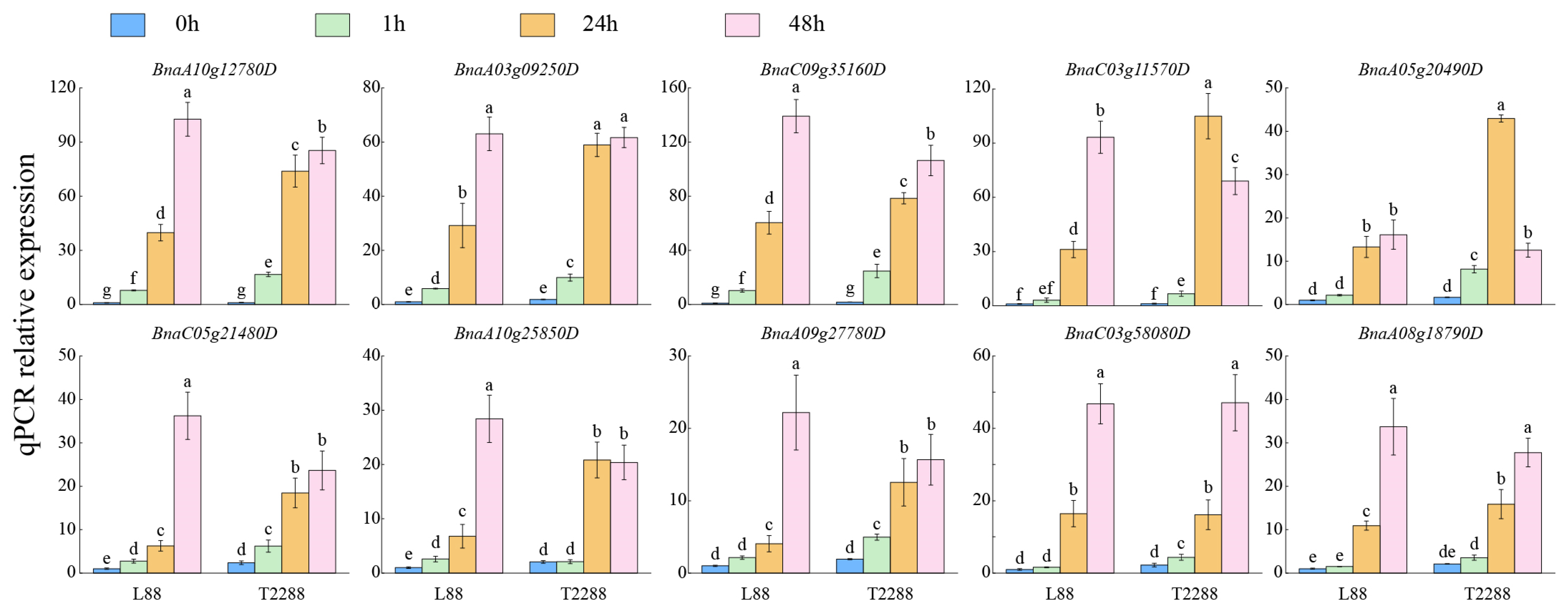 Agronomy 15 02085 g007 Agronomy 15 02085 g007