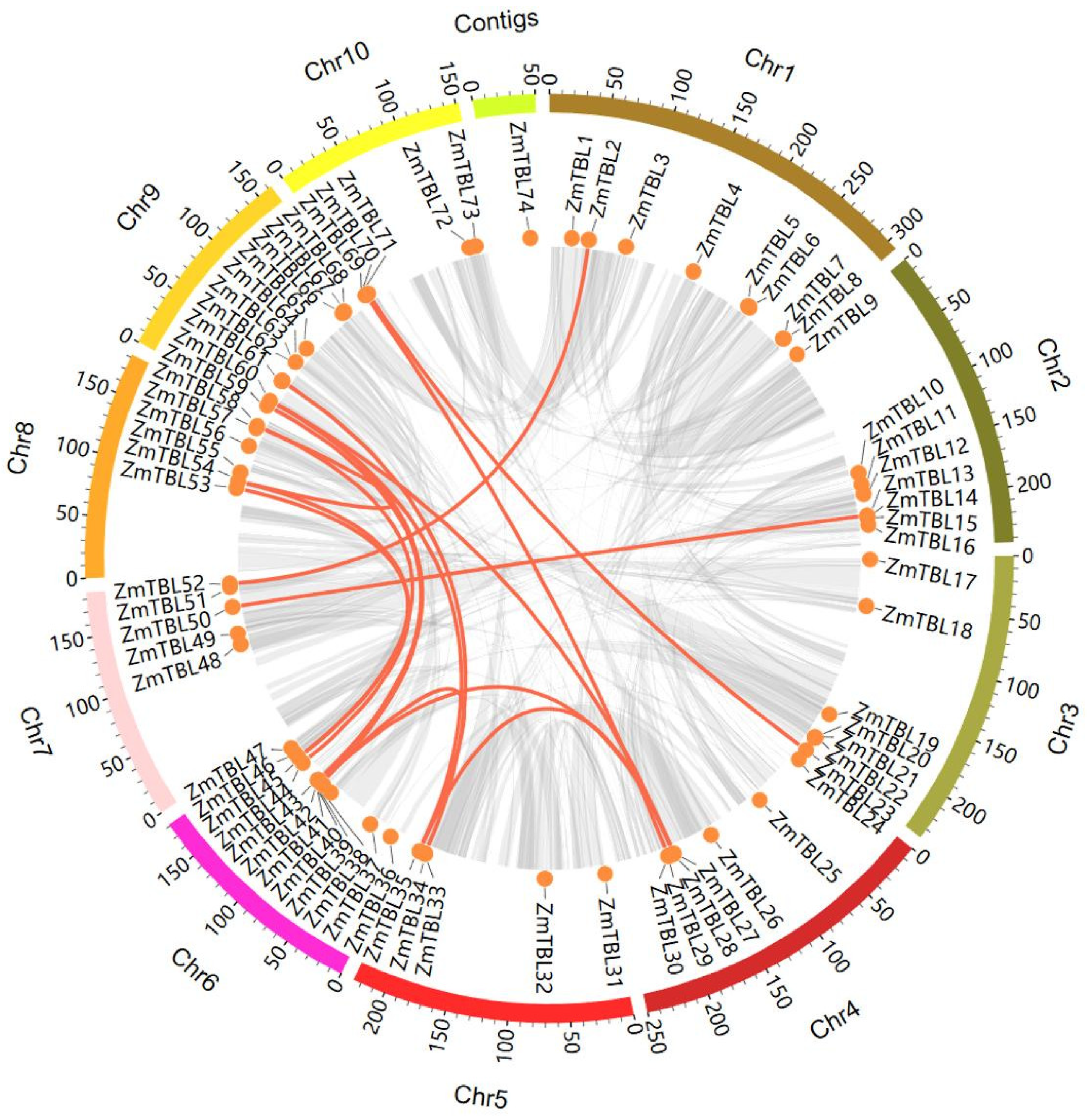Agronomy 15 02121 g002 Agronomy 15 02121 g002