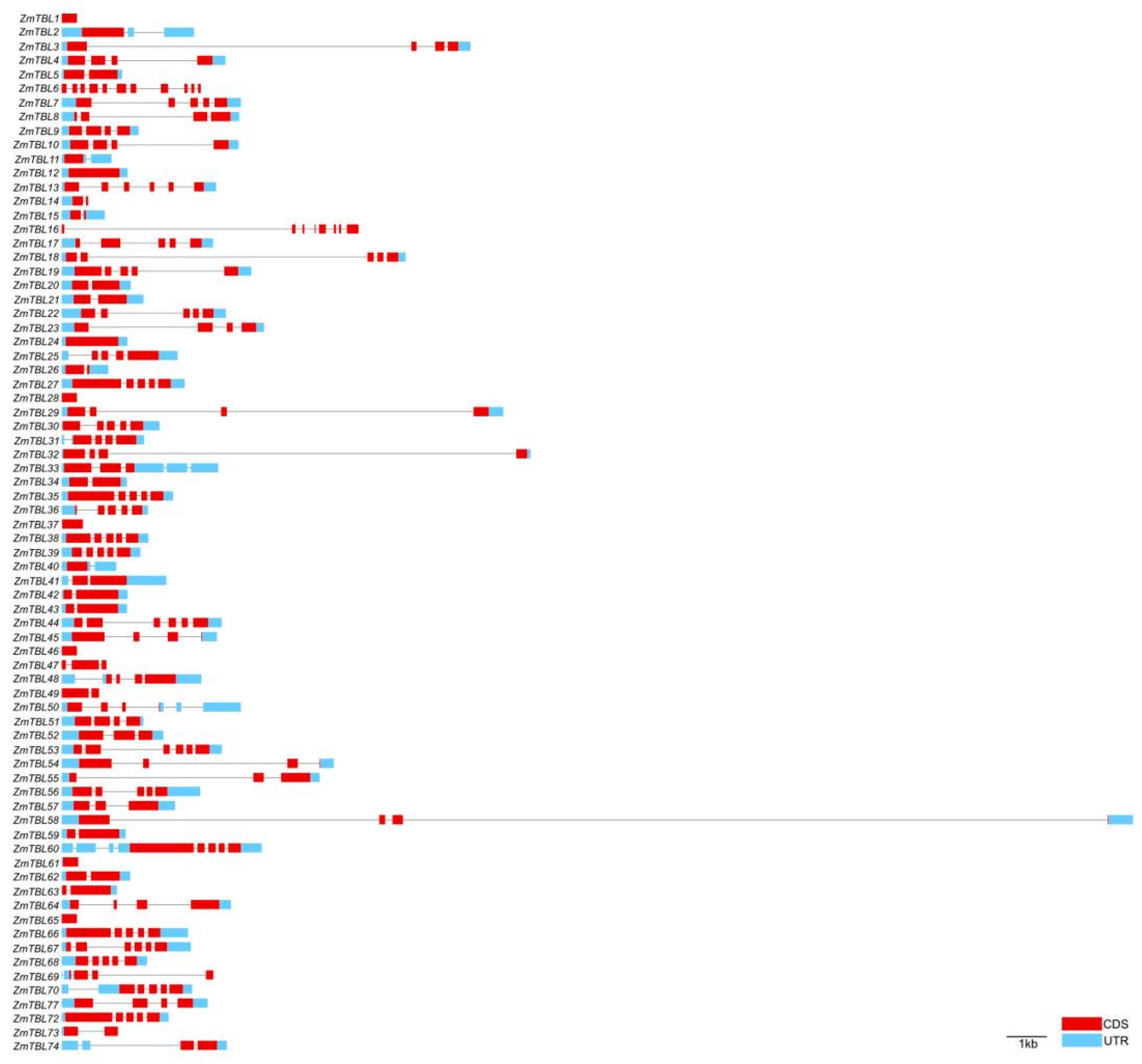 Agronomy 15 02121 g003 Agronomy 15 02121 g003