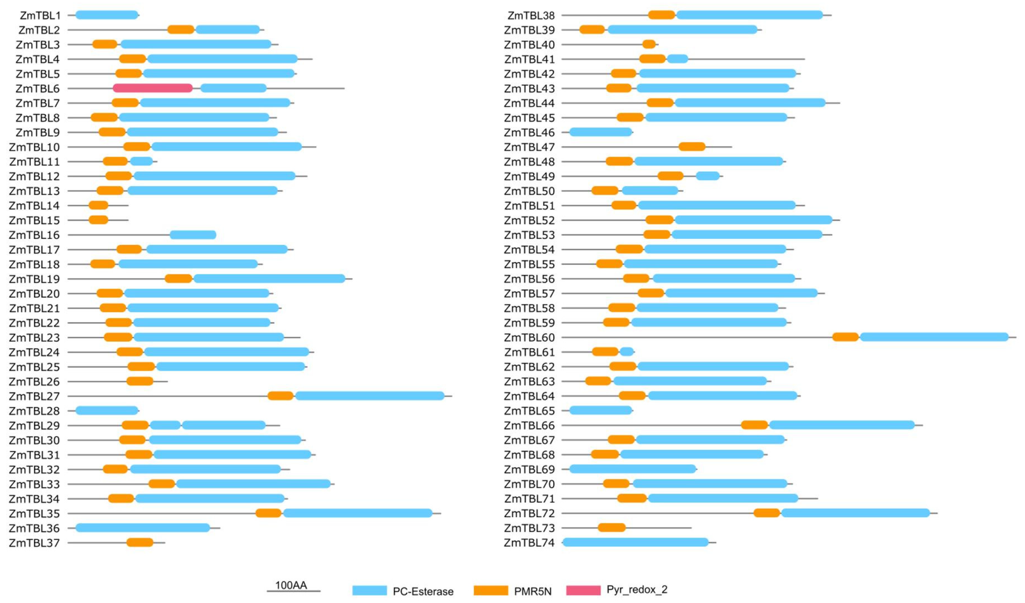 Agronomy 15 02121 g004 Agronomy 15 02121 g004