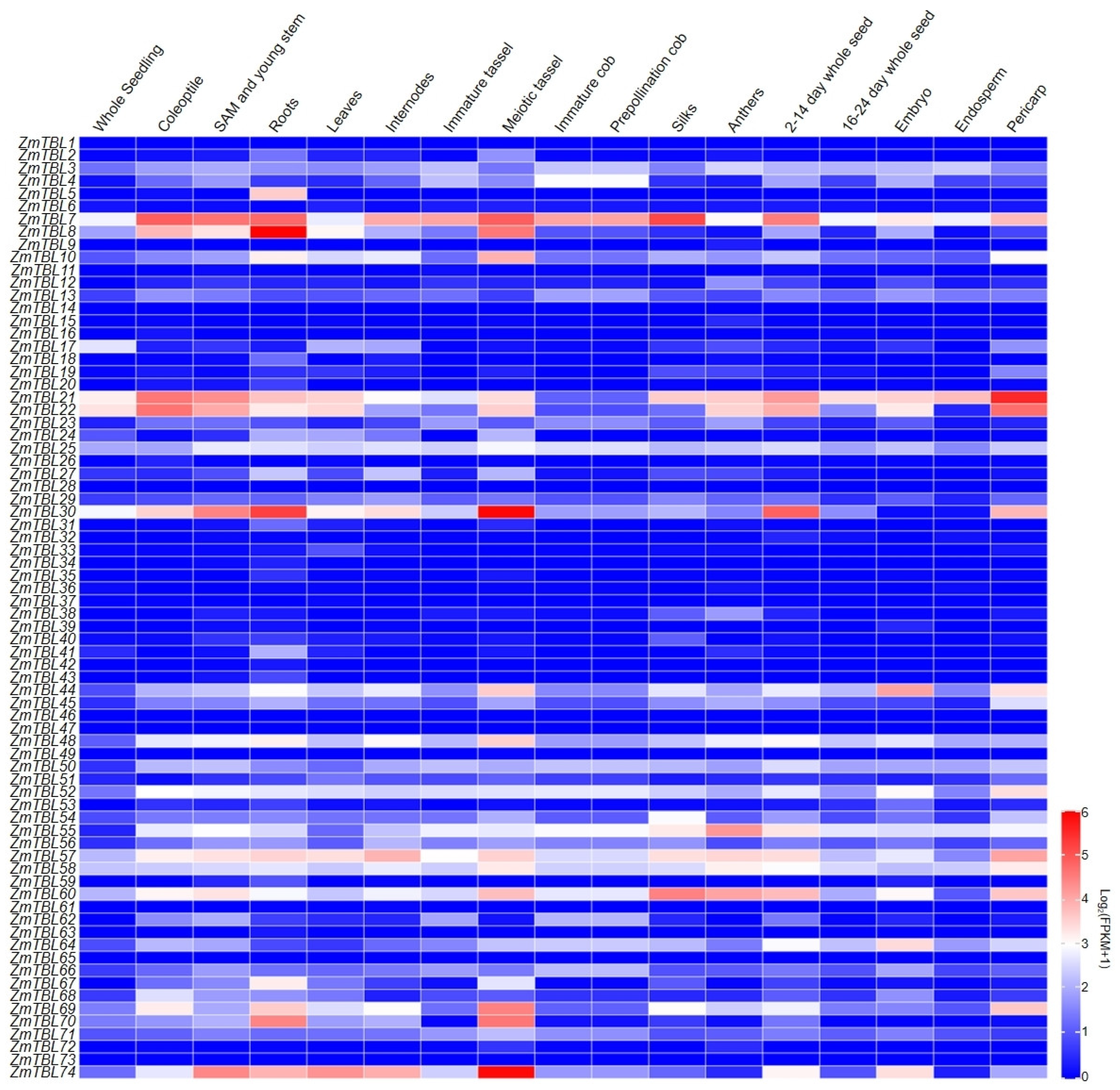 Agronomy 15 02121 g005 Agronomy 15 02121 g005