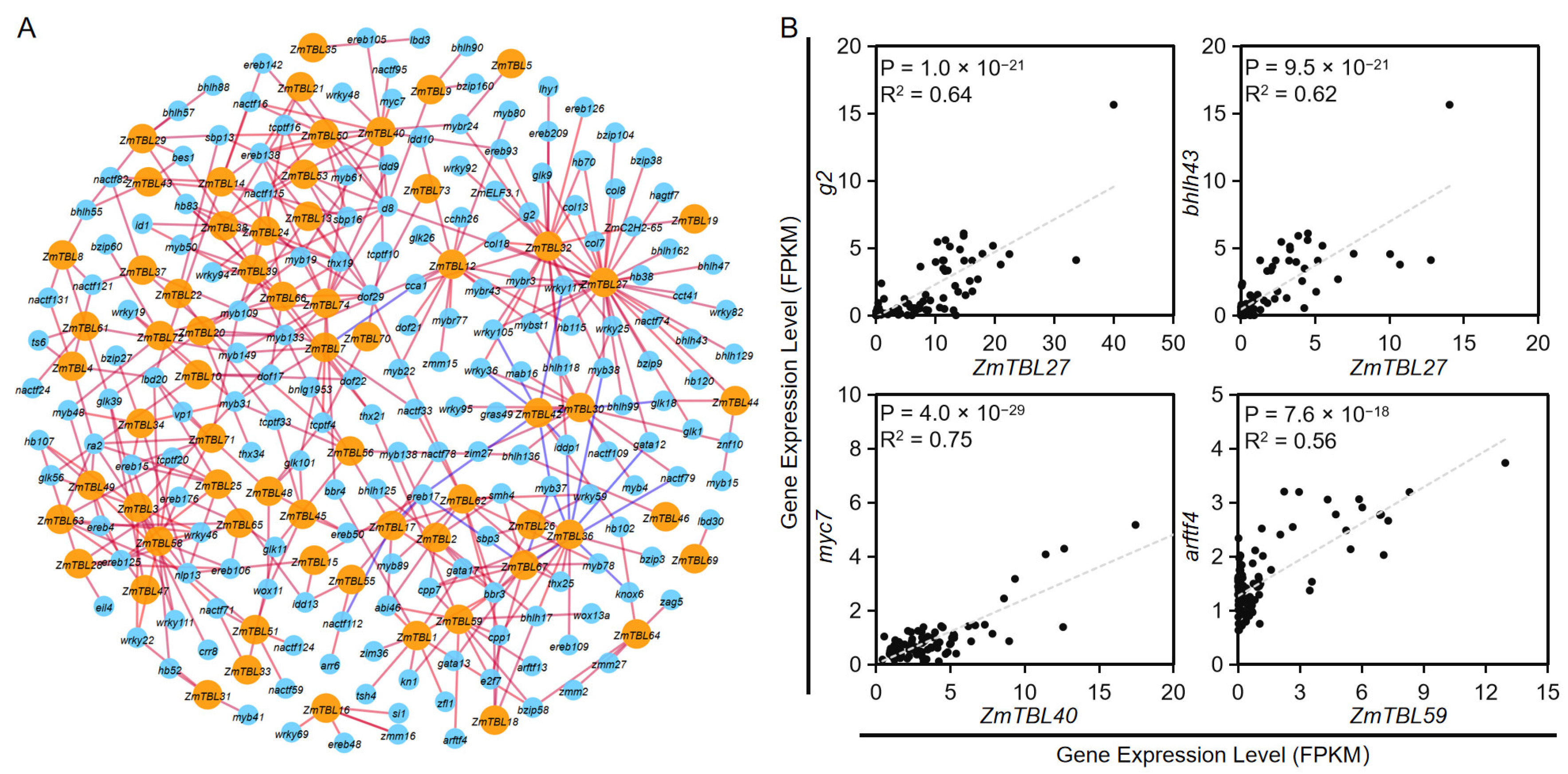 Agronomy 15 02121 g006 Agronomy 15 02121 g006