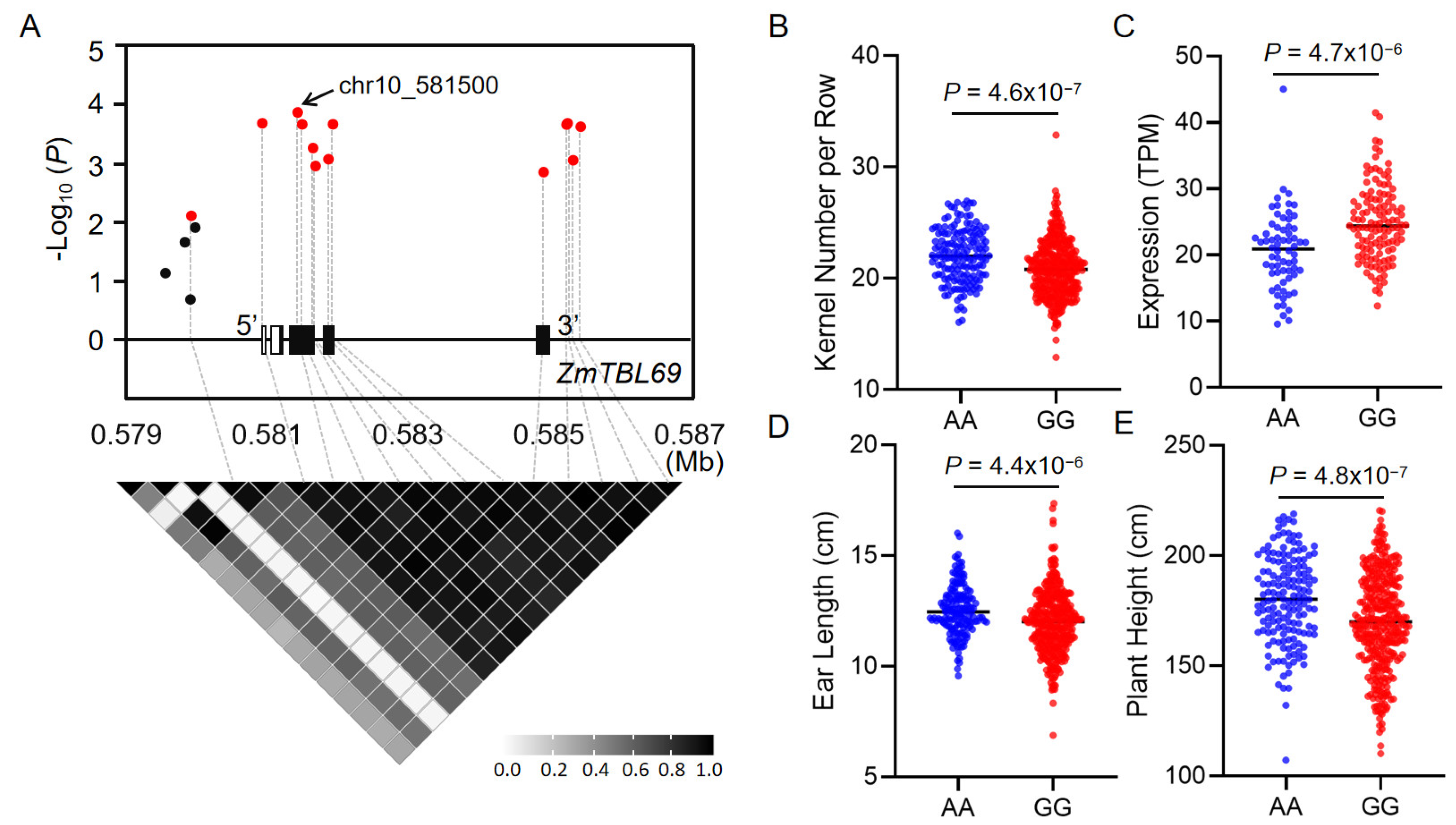 Agronomy 15 02121 g008 Agronomy 15 02121 g008