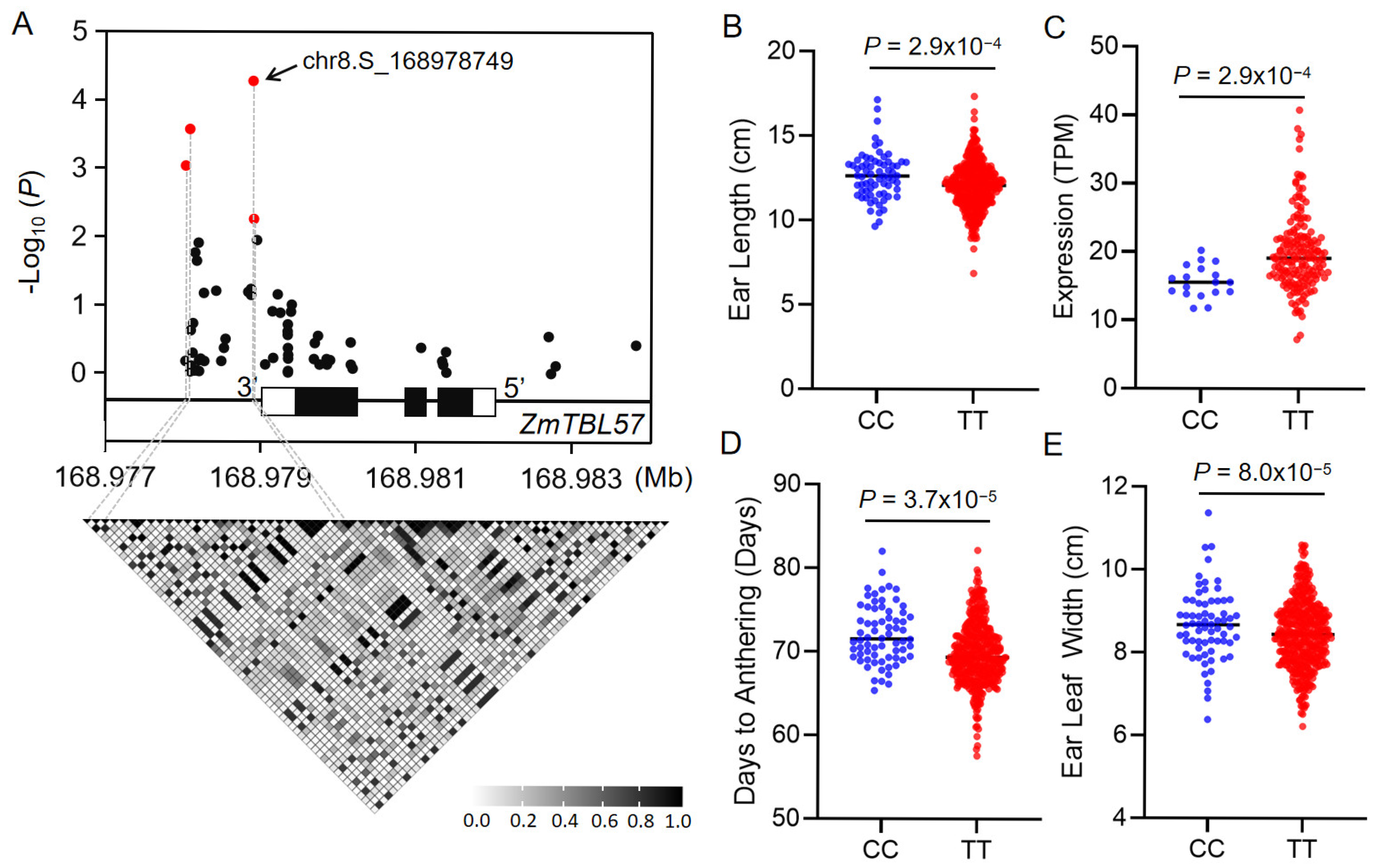 Agronomy 15 02121 g009 Agronomy 15 02121 g009