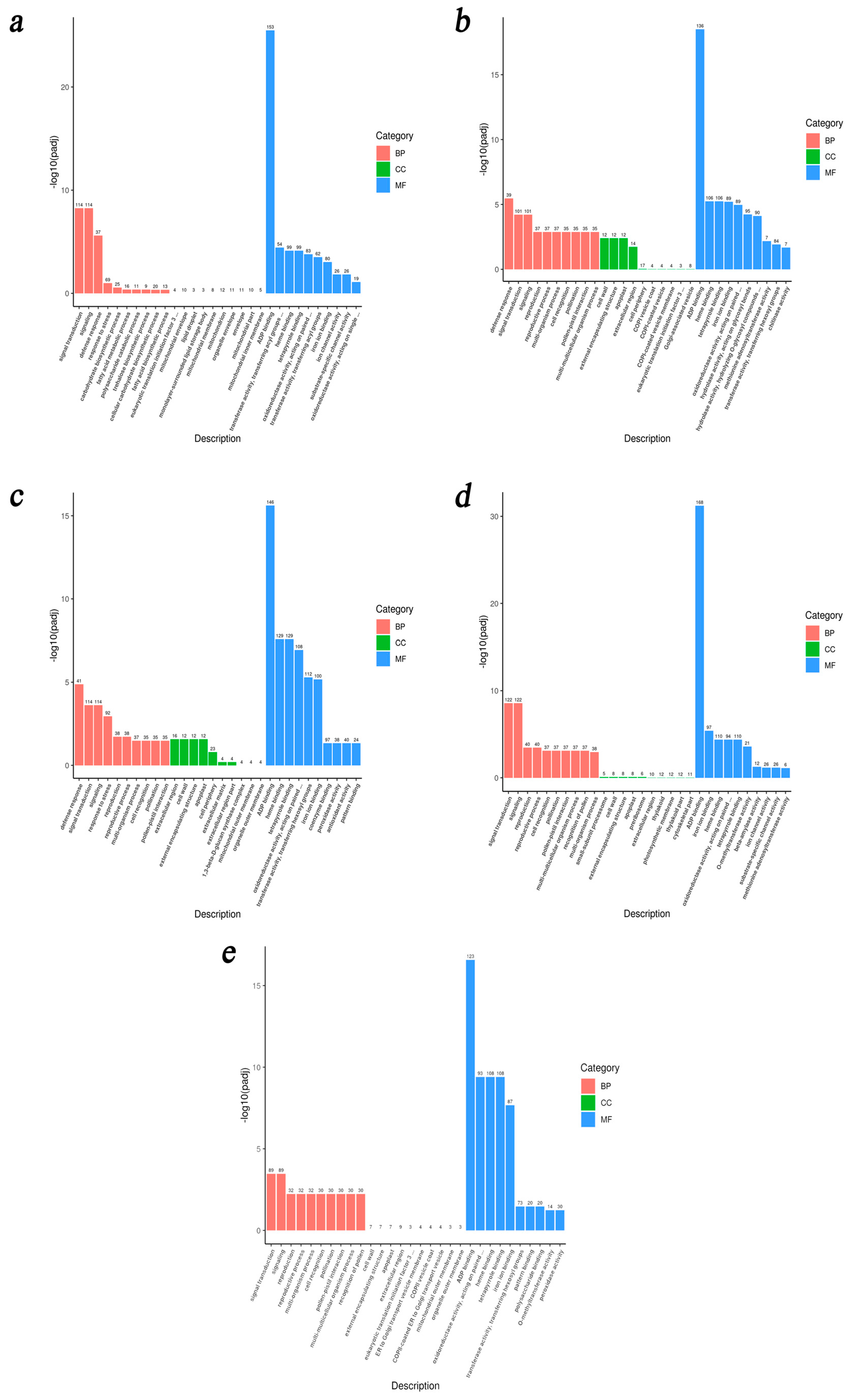 Agronomy 15 02165 g006 Agronomy 15 02165 g006