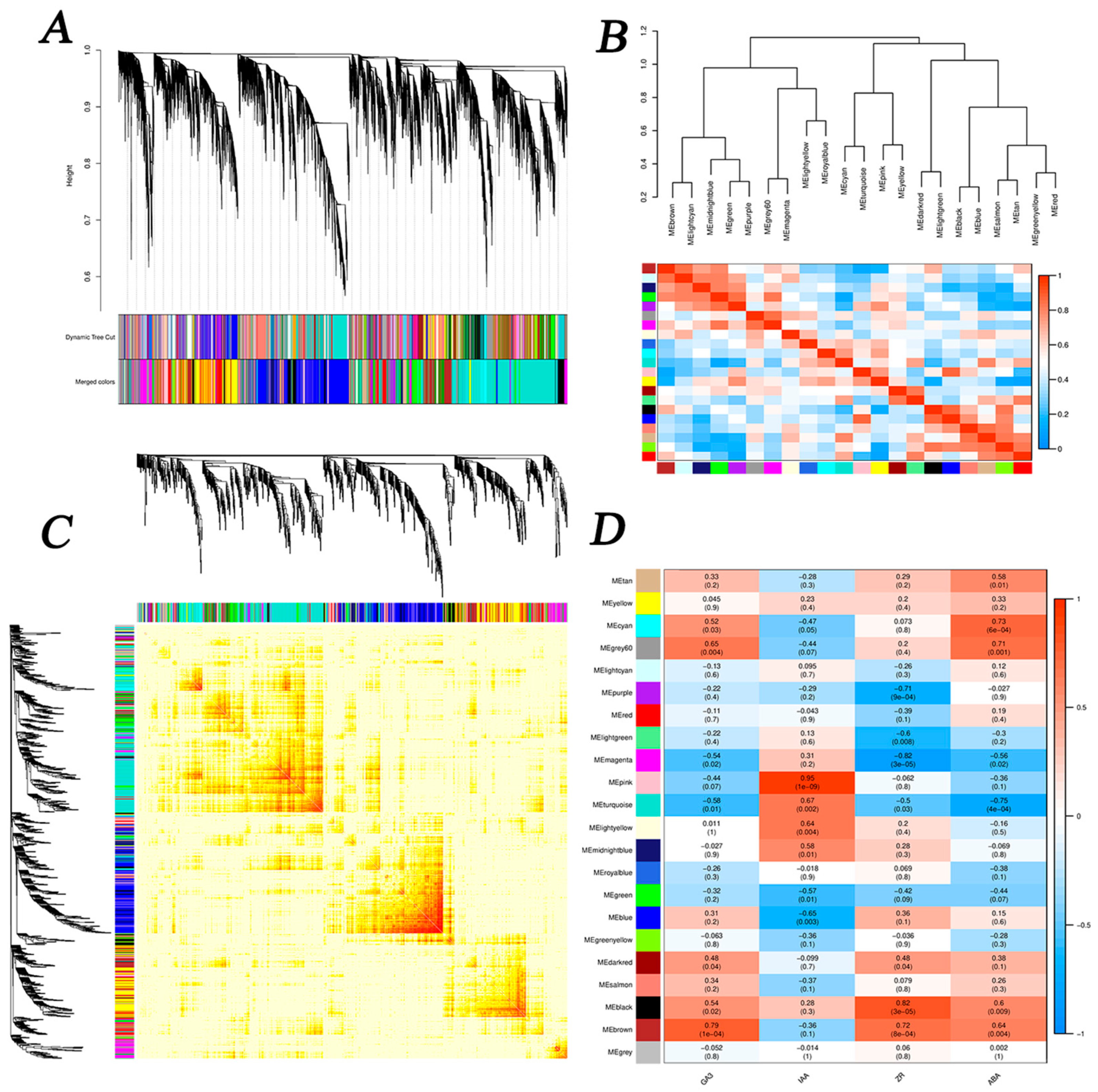 Agronomy 15 02165 g008 Agronomy 15 02165 g008