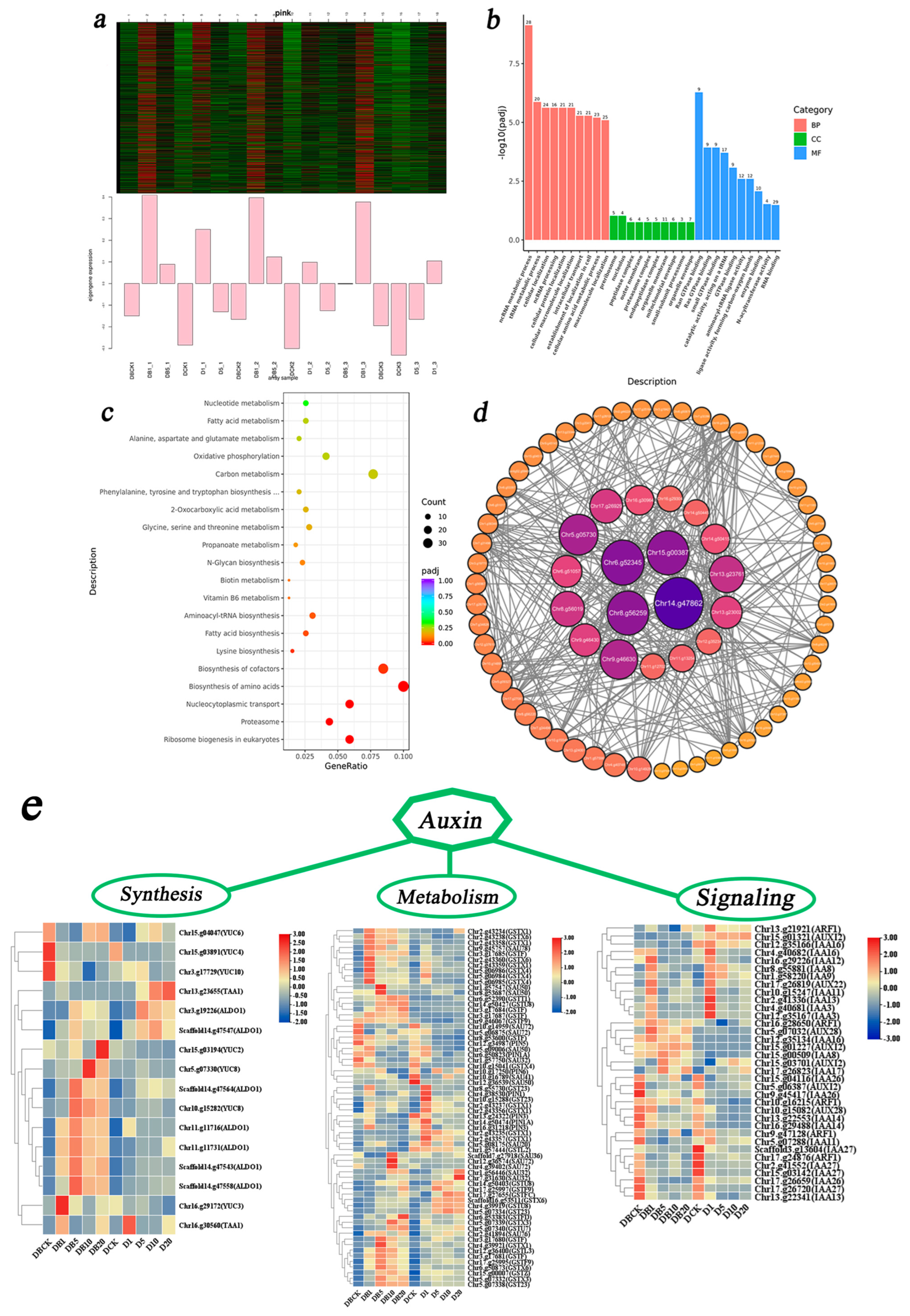 Agronomy 15 02165 g009 Agronomy 15 02165 g009