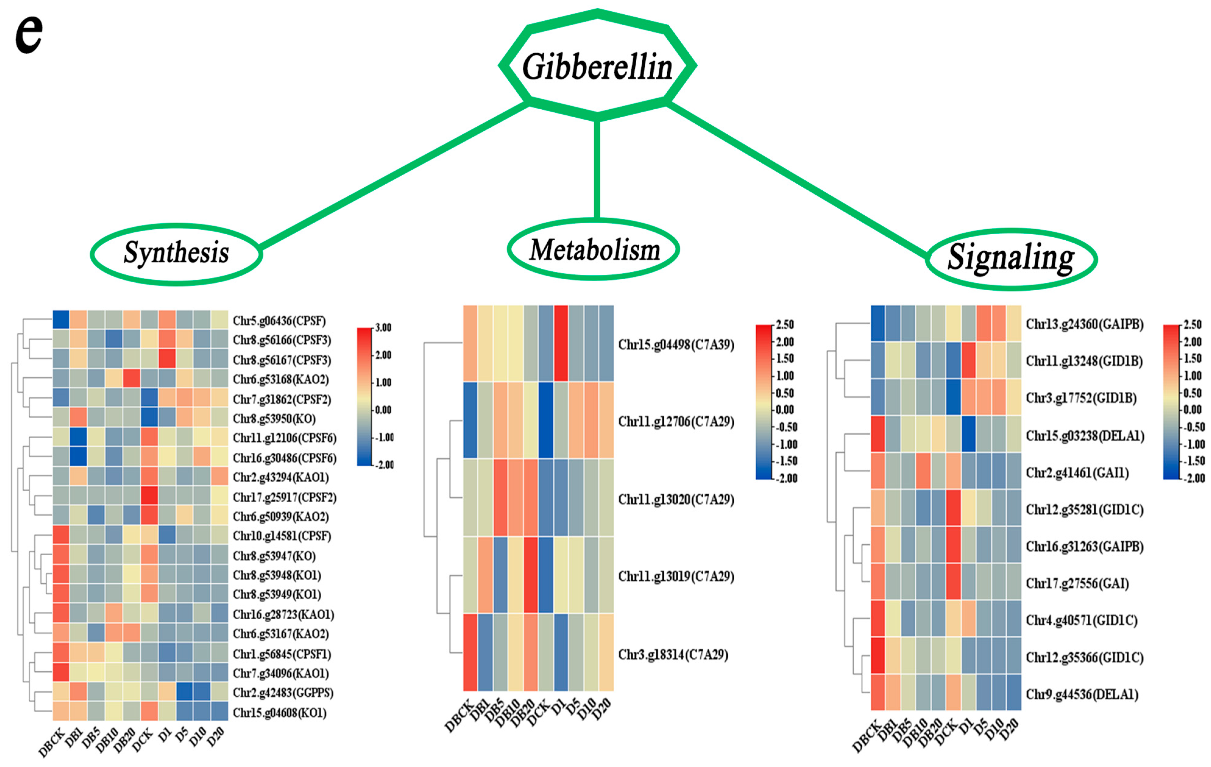 Agronomy 15 02165 g010b Agronomy 15 02165 g010b