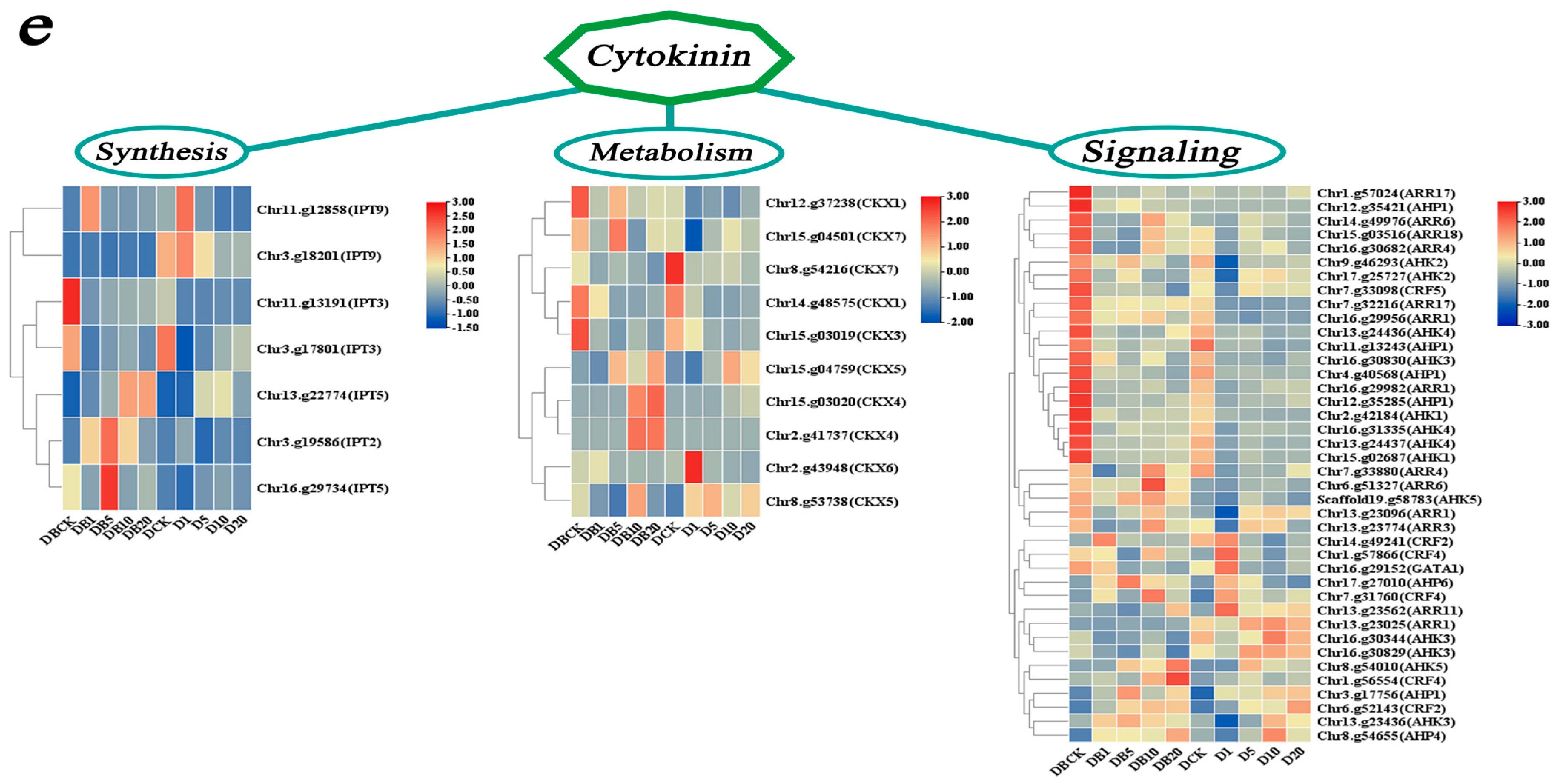 Agronomy 15 02165 g011b Agronomy 15 02165 g011b