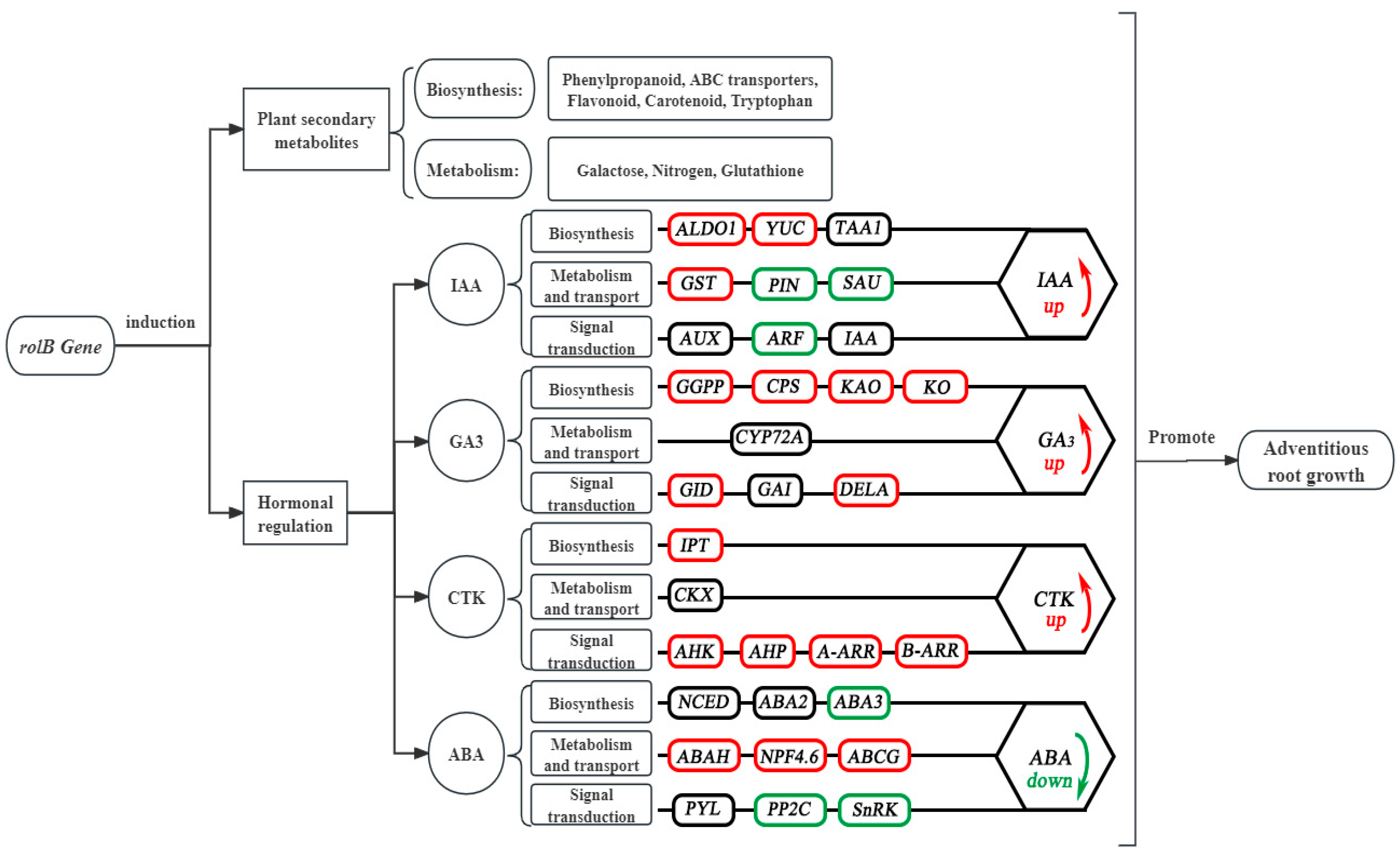 Agronomy 15 02165 g015 Agronomy 15 02165 g015
