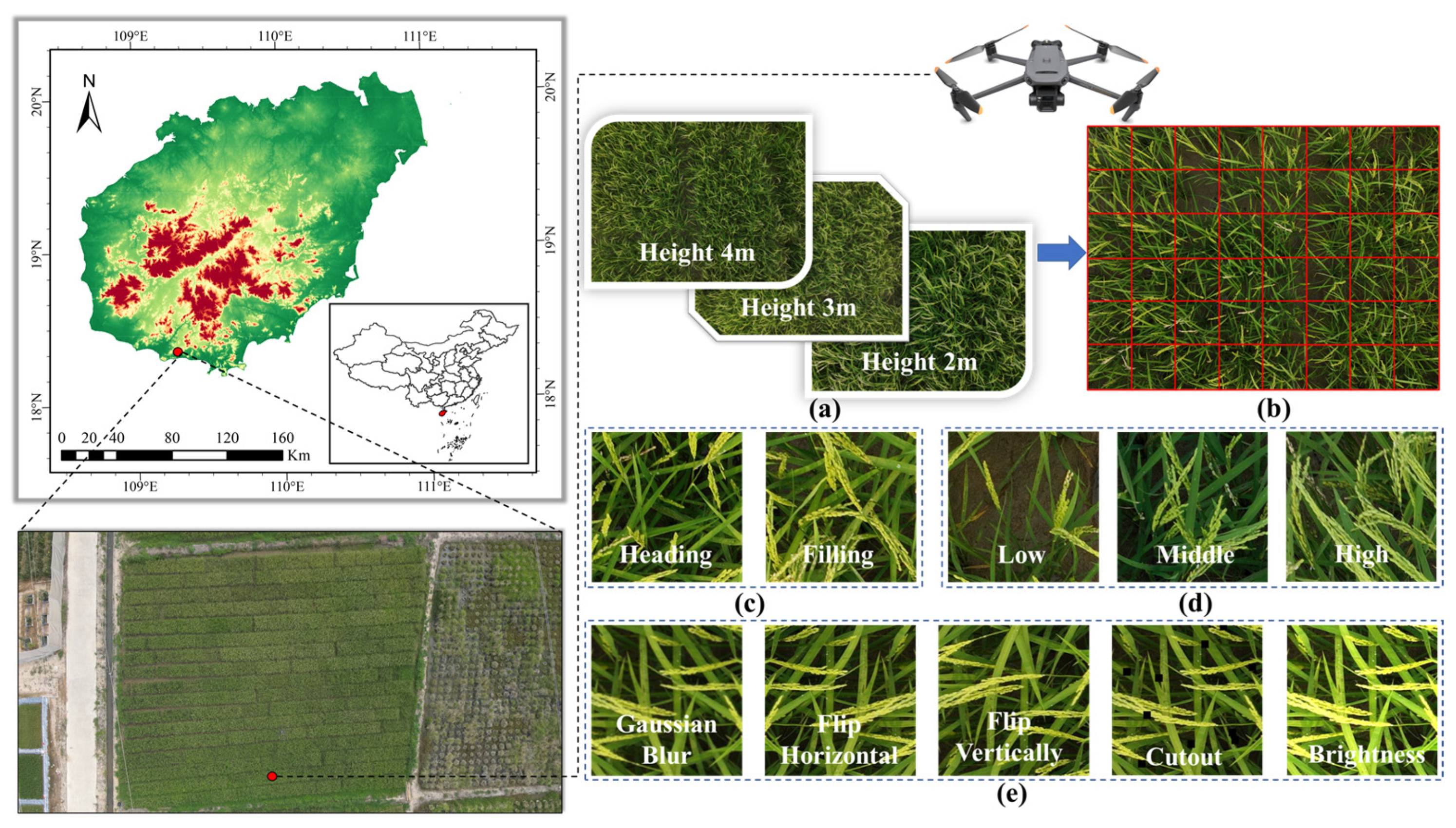 Agronomy 15 02225 g001 Agronomy 15 02225 g001
