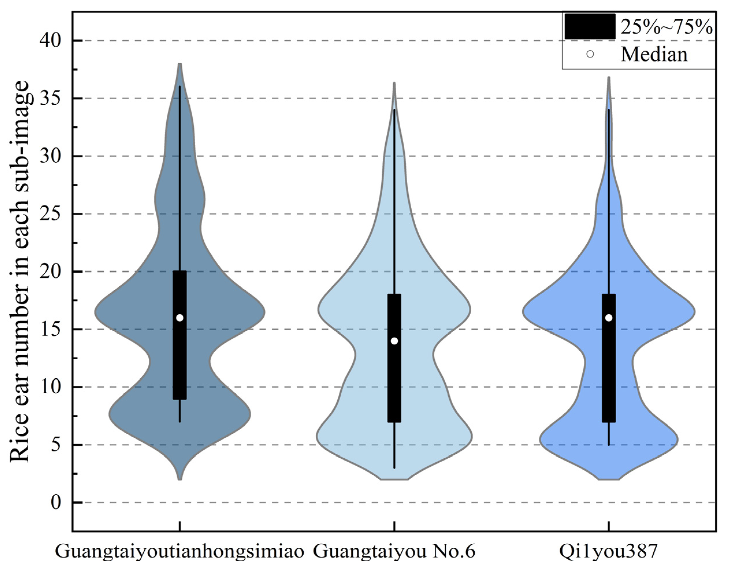 Agronomy 15 02225 g002 Agronomy 15 02225 g002