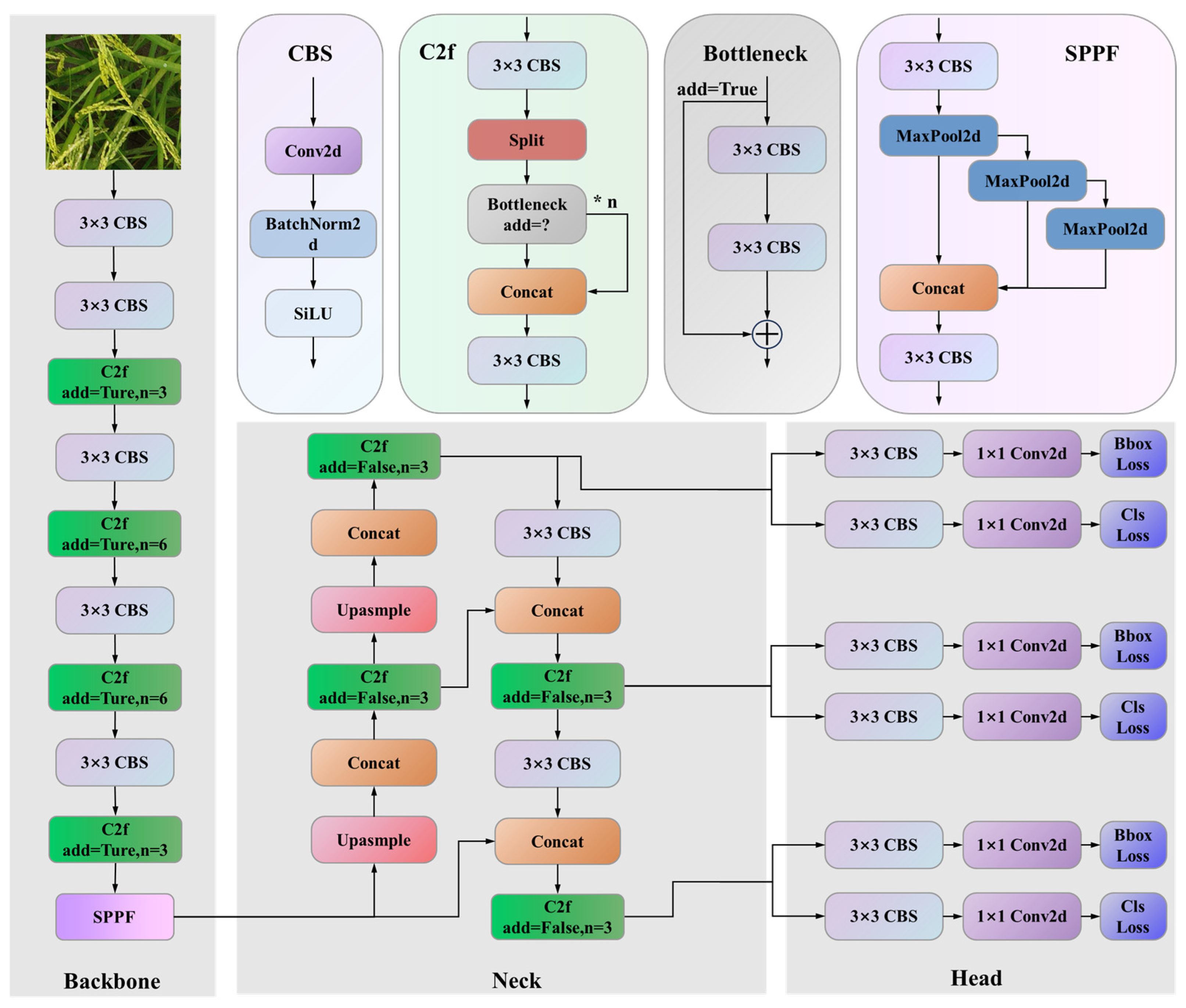 Agronomy 15 02225 g003 Agronomy 15 02225 g003
