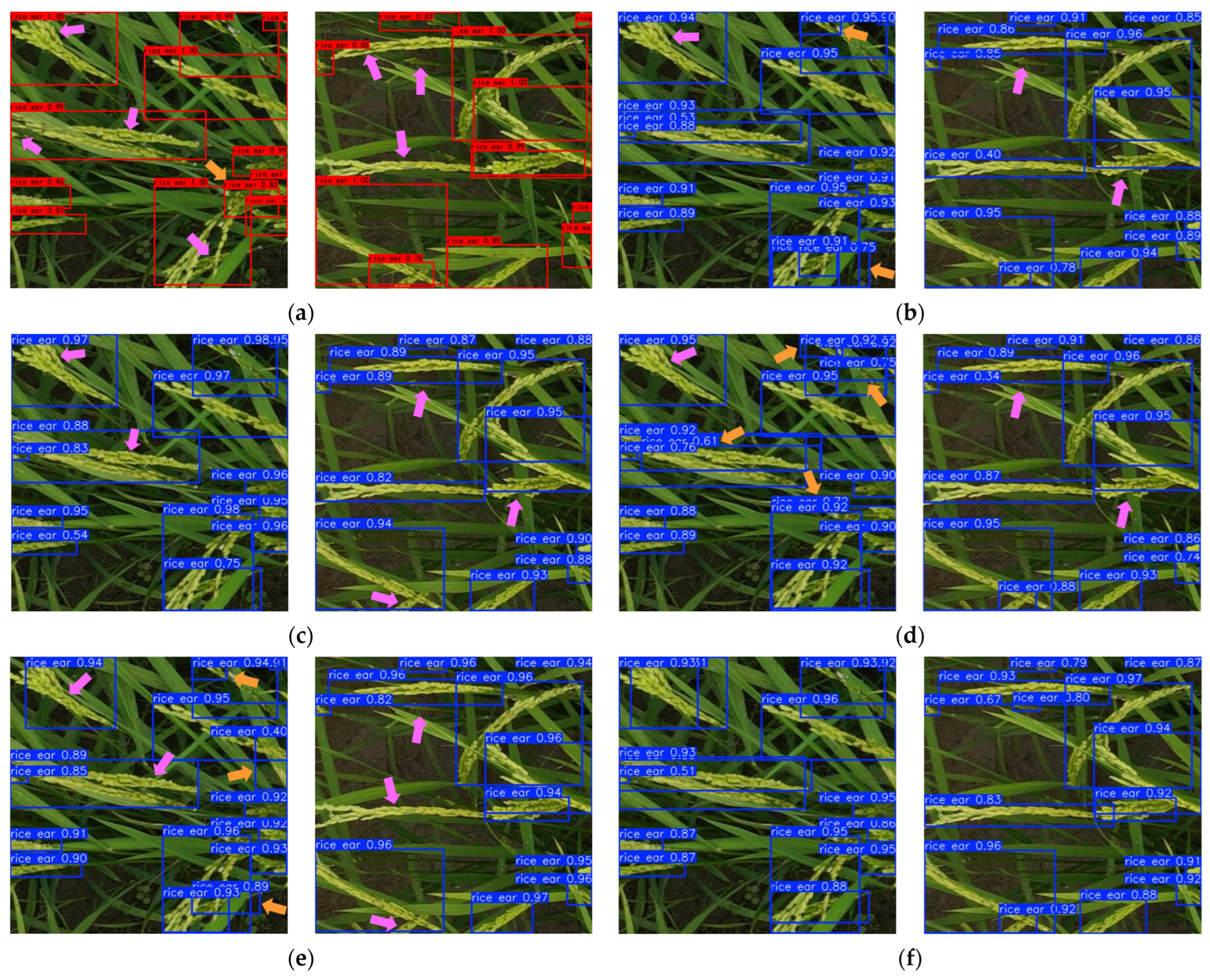 Agronomy 15 02225 g012 Agronomy 15 02225 g012