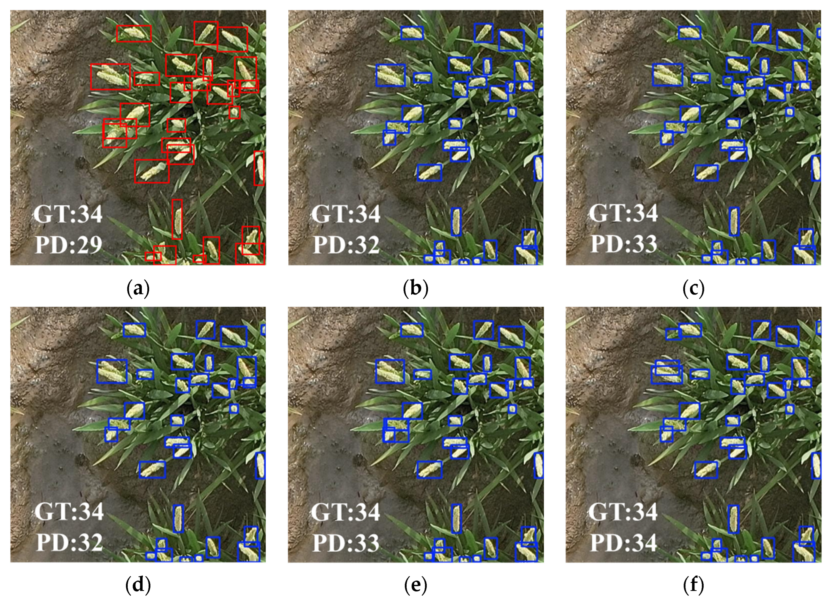 Agronomy 15 02225 g013 Agronomy 15 02225 g013