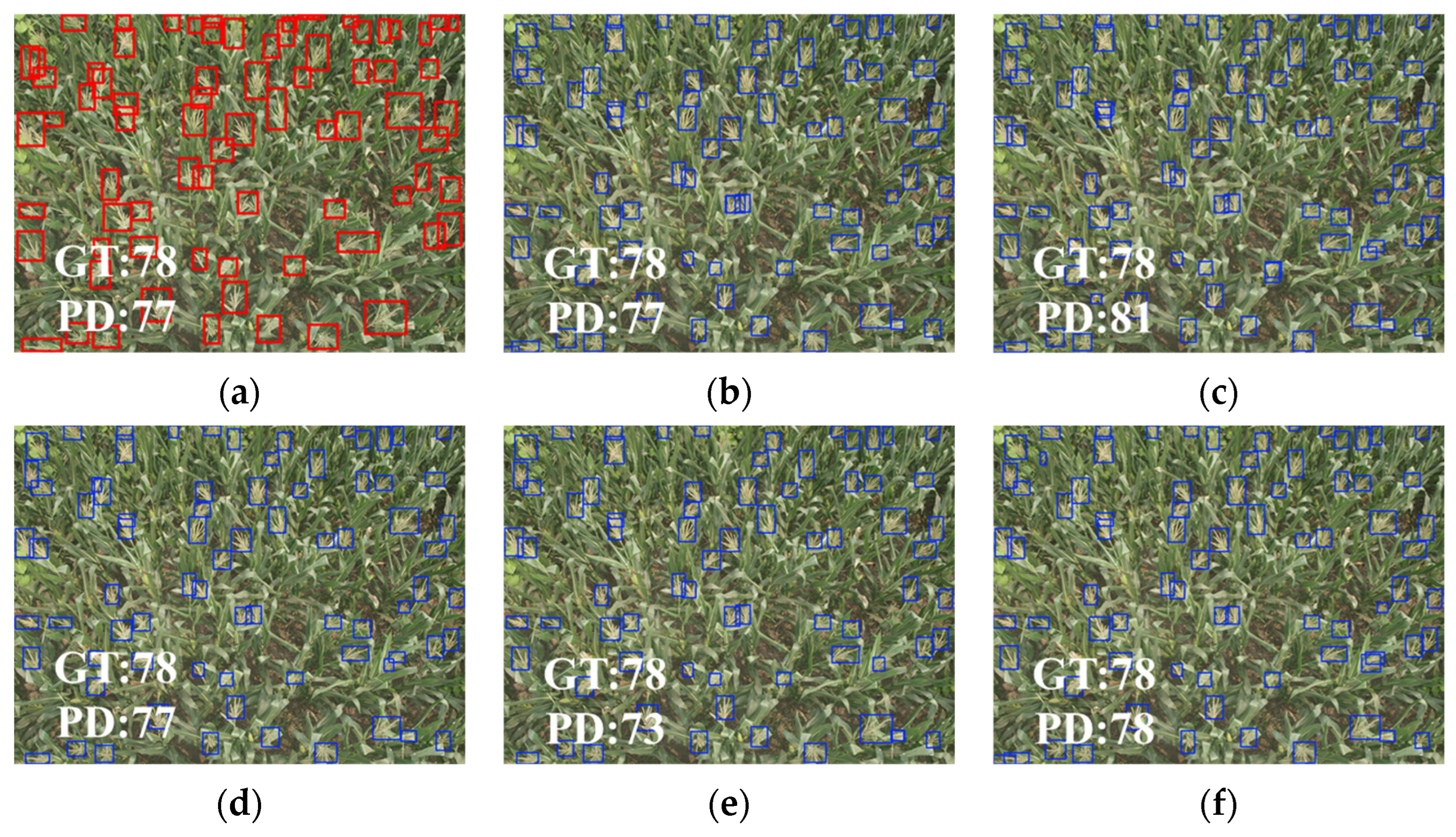 Agronomy 15 02225 g014 Agronomy 15 02225 g014