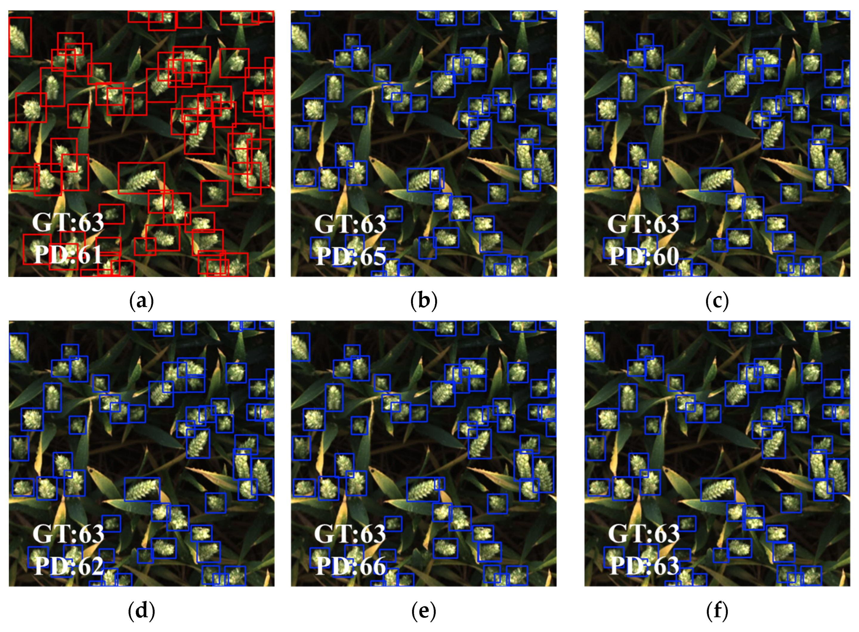 Agronomy 15 02225 g015 Agronomy 15 02225 g015