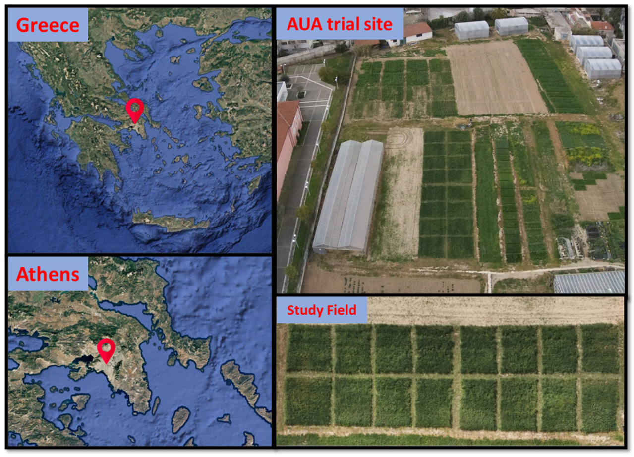 Agronomy 15 02244 g001 Agronomy 15 02244 g001