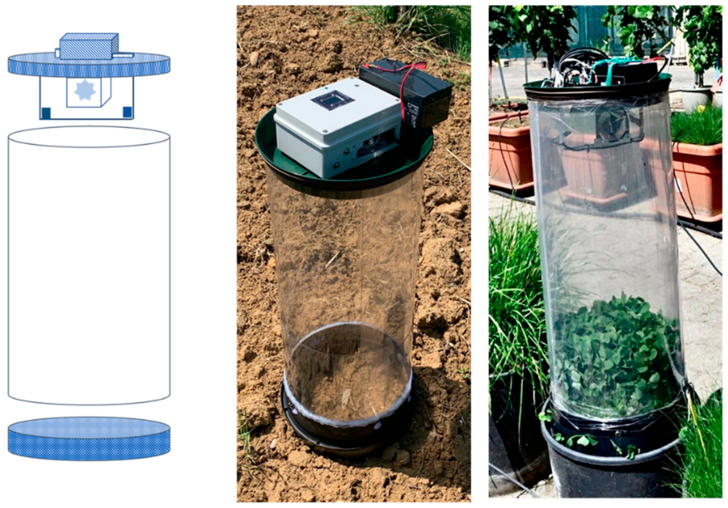 Agronomy 15 02245 g005 Agronomy 15 02245 g005