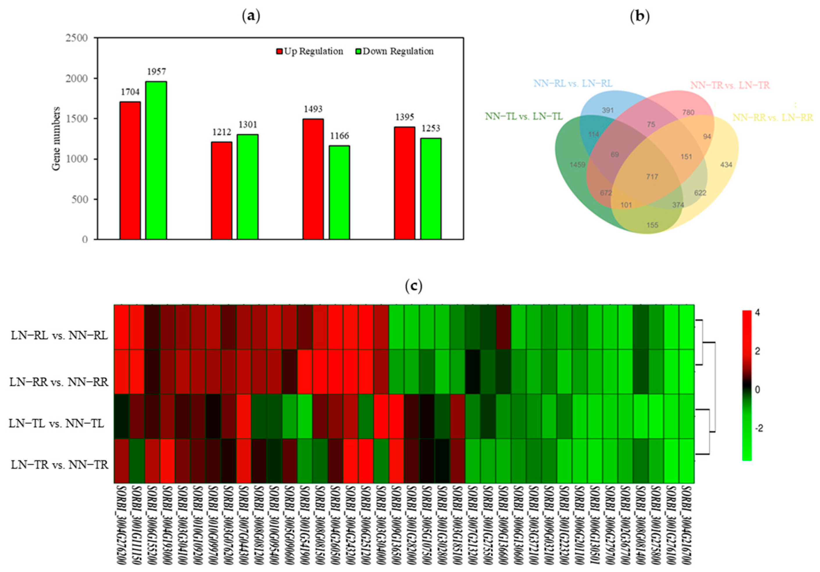 Agronomy 15 02250 g003 Agronomy 15 02250 g003